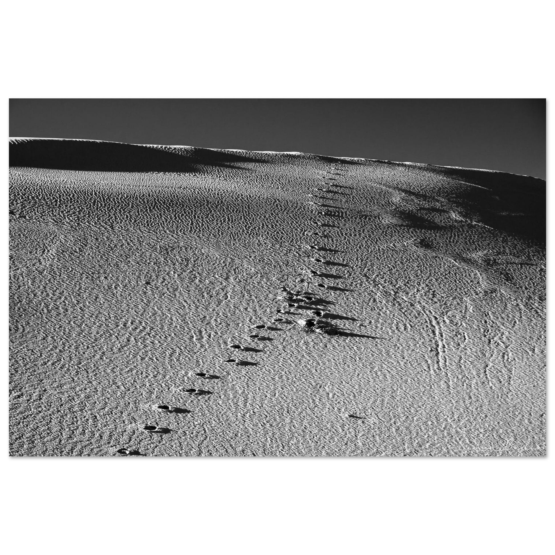 1cd853ac-d6bc-47fc-b29c-9d59c08ed078