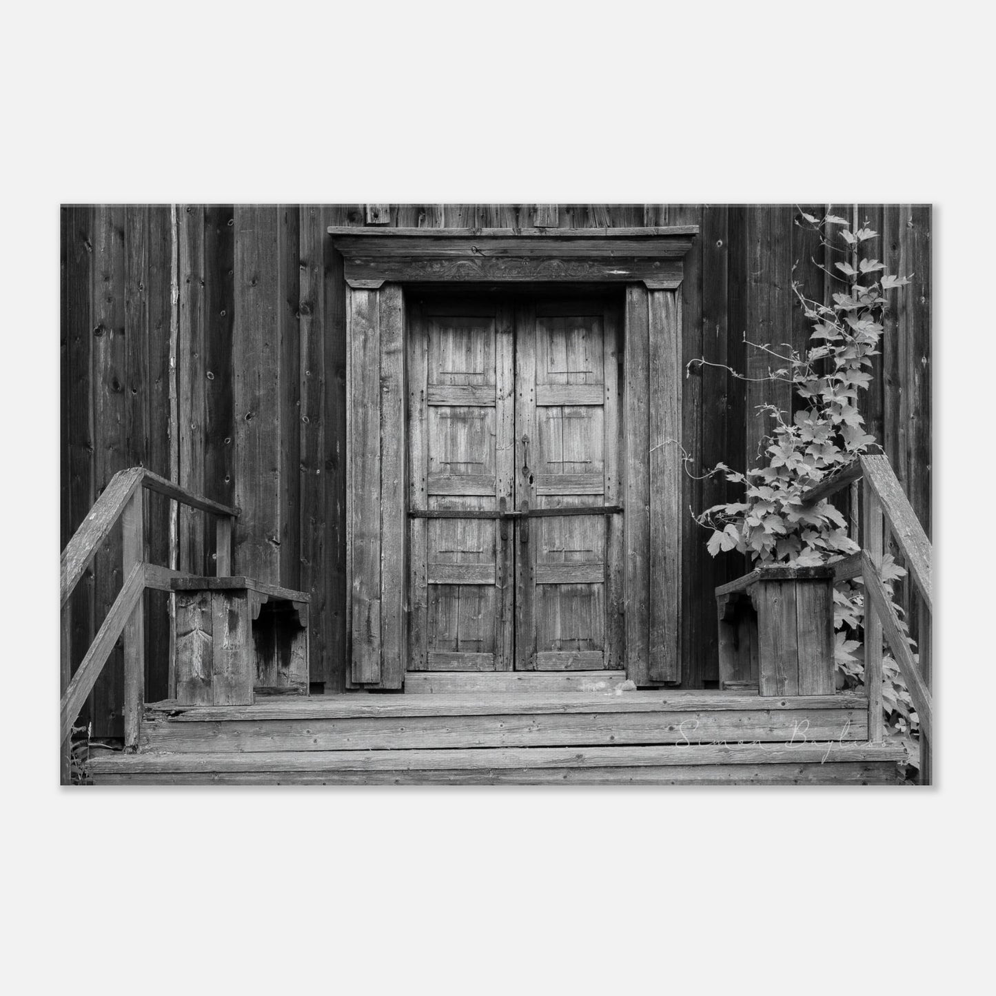 1d54519f-25c0-4f87-8241-8e28b0a86bba