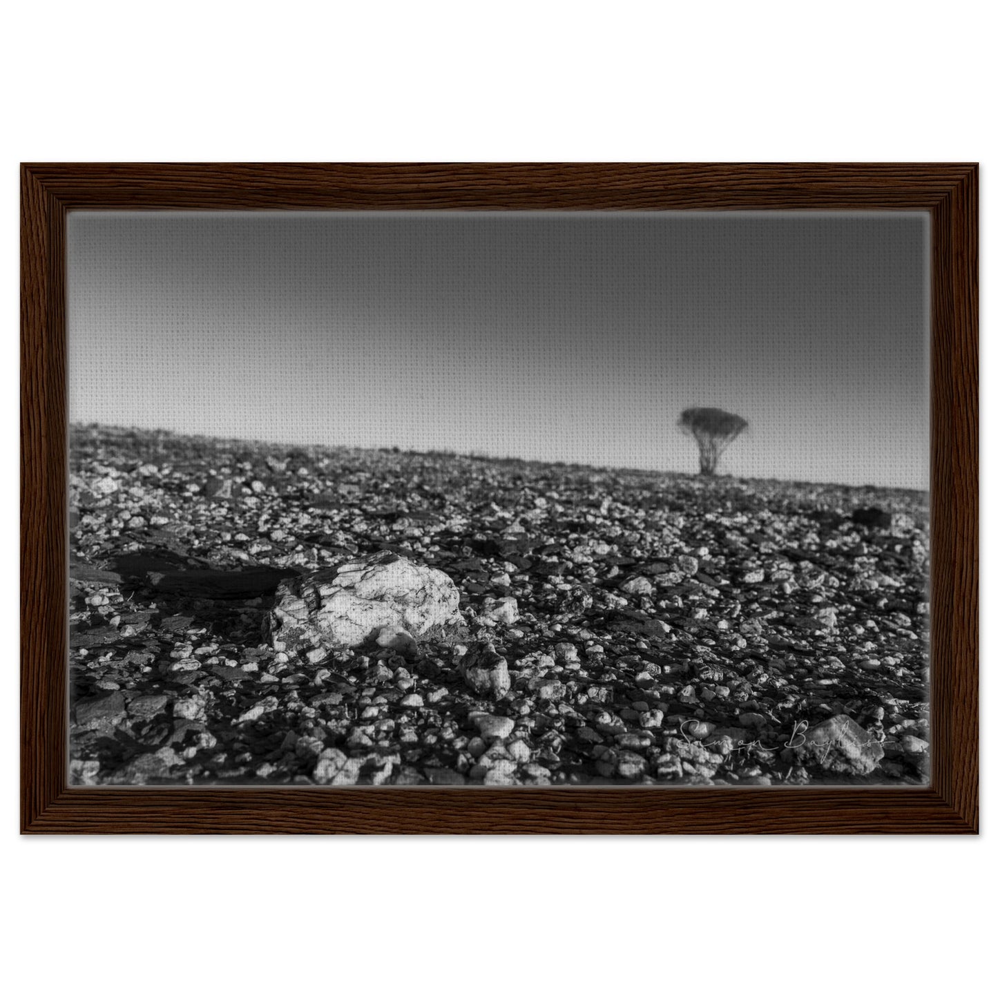 1d797156-f12b-4832-9bee-8eb08207d1eb