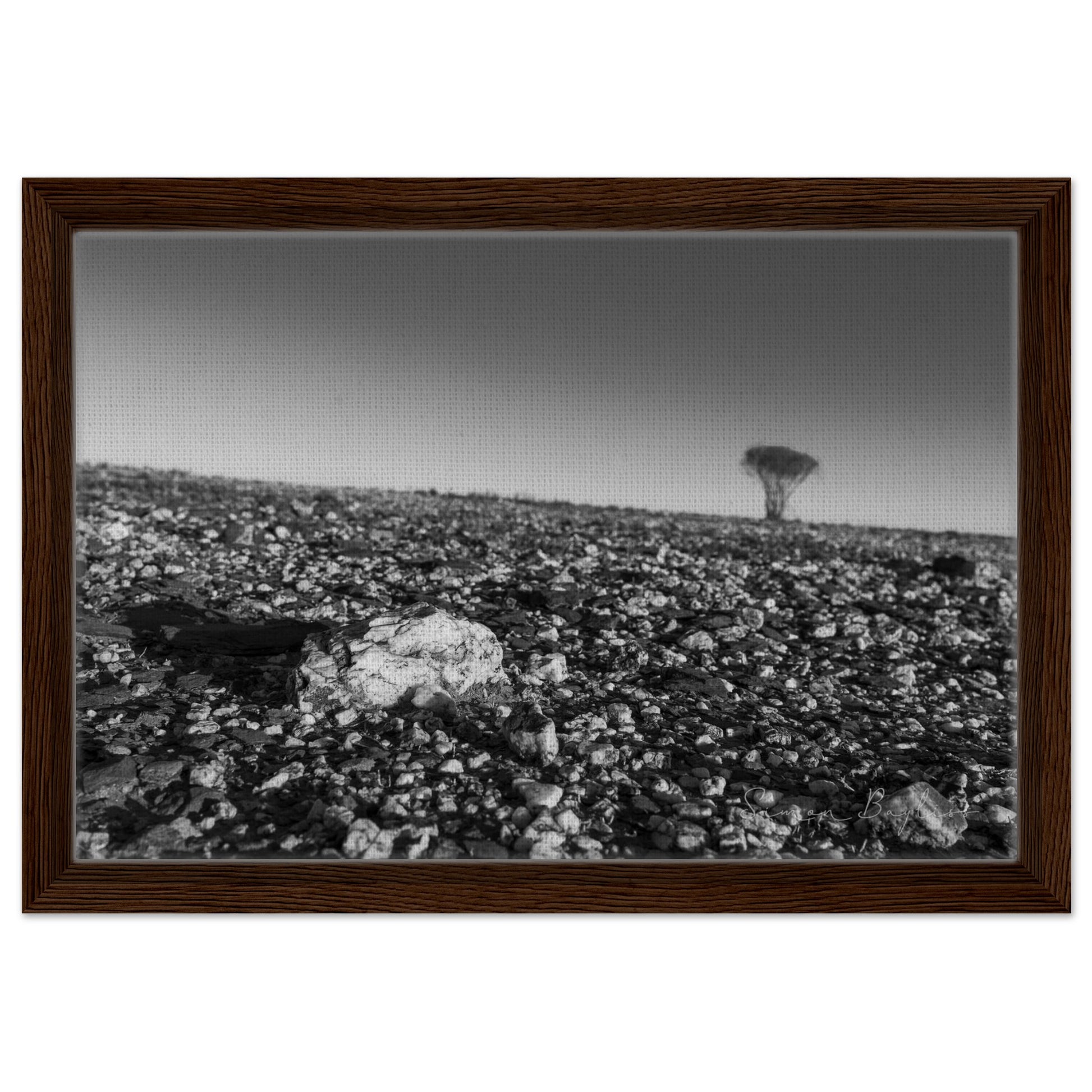 1d797156-f12b-4832-9bee-8eb08207d1eb