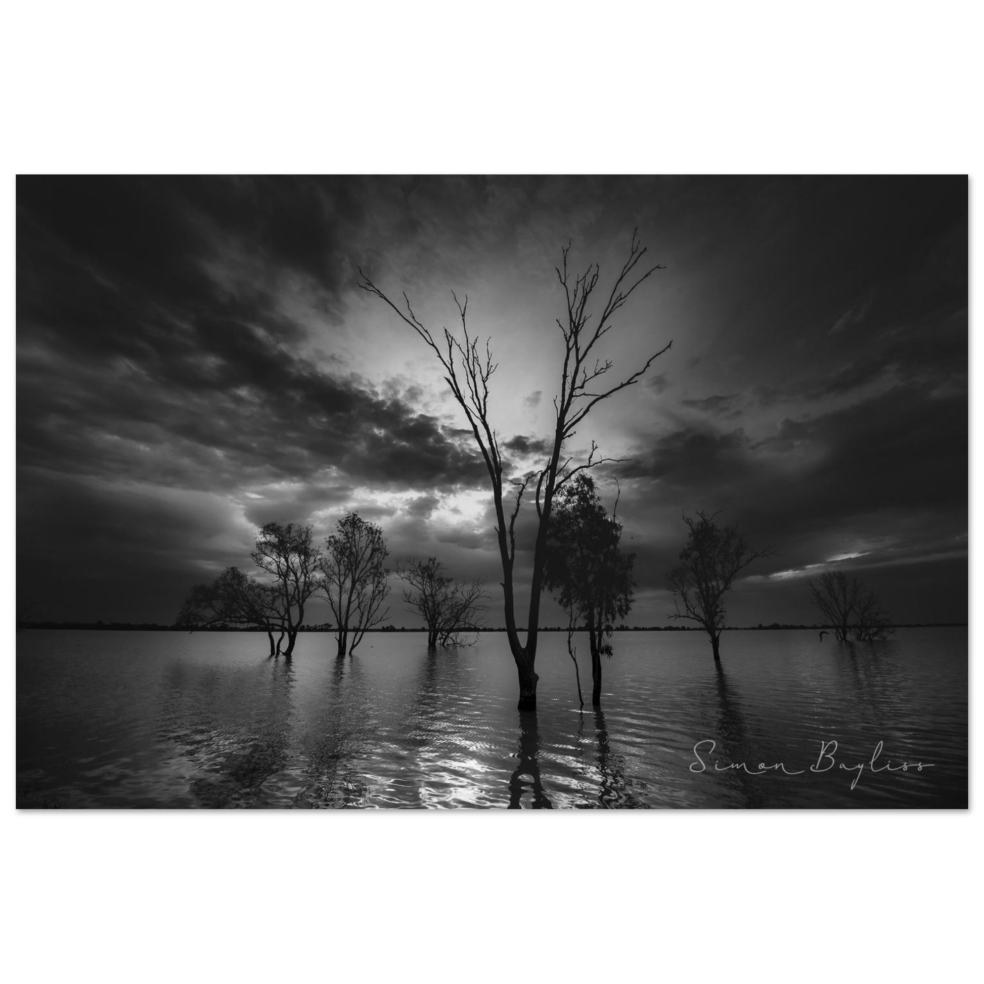 1d871d87-b63f-4dac-bede-4d41a9d86836