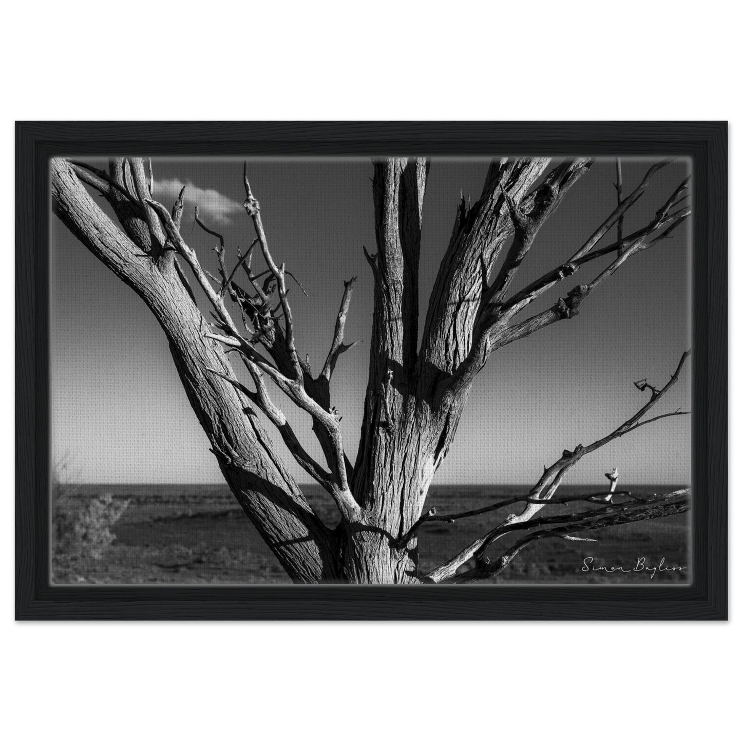 1e0e9f4d-312f-499e-aa94-706c2e5102b8