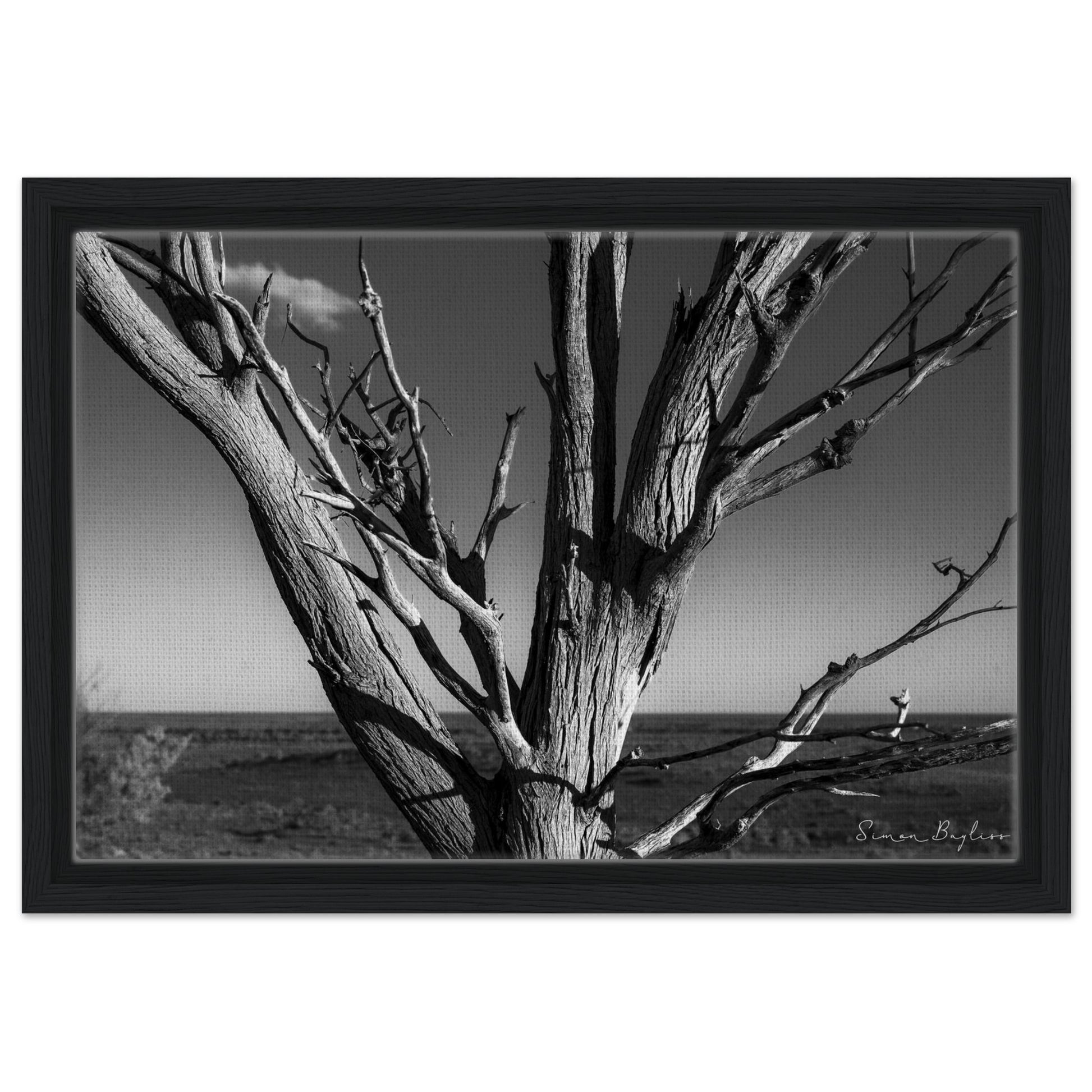 1e0e9f4d-312f-499e-aa94-706c2e5102b8