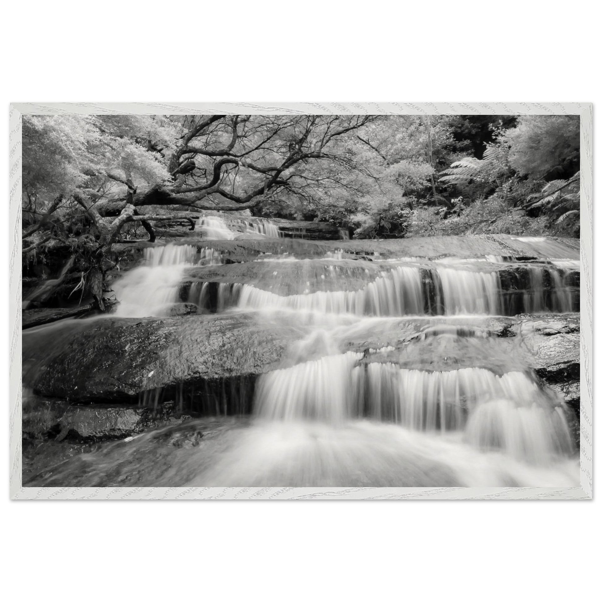 1e1a8f47-333f-4a6f-8832-68cbbeaf8fc7