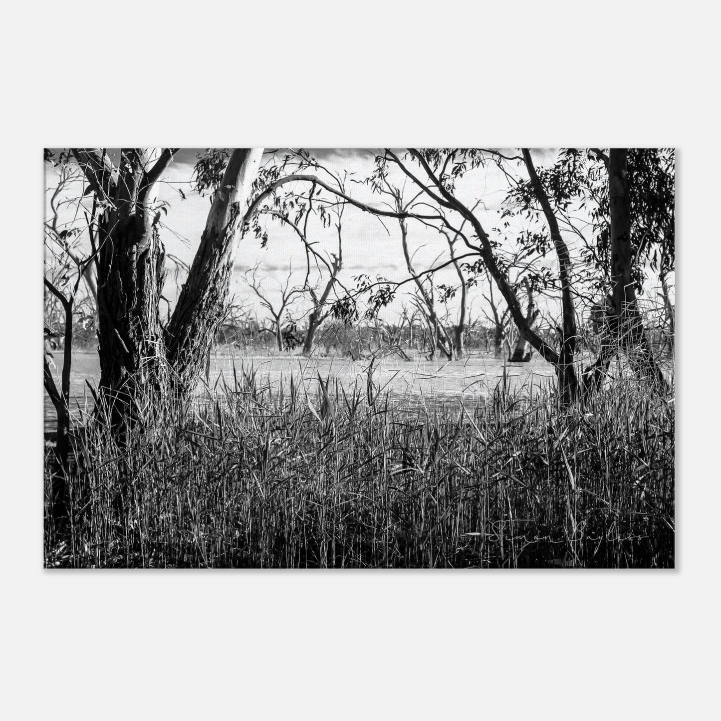 1e56adf6-642c-43b0-8e05-577f6de23126