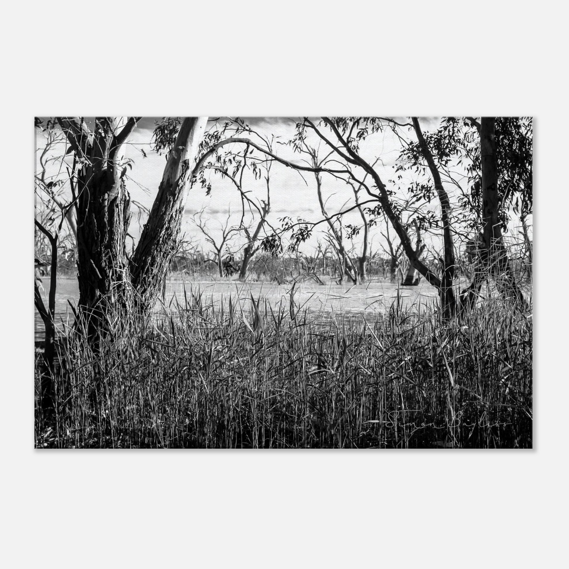 1e56adf6-642c-43b0-8e05-577f6de23126