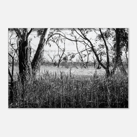 1e56adf6-642c-43b0-8e05-577f6de23126