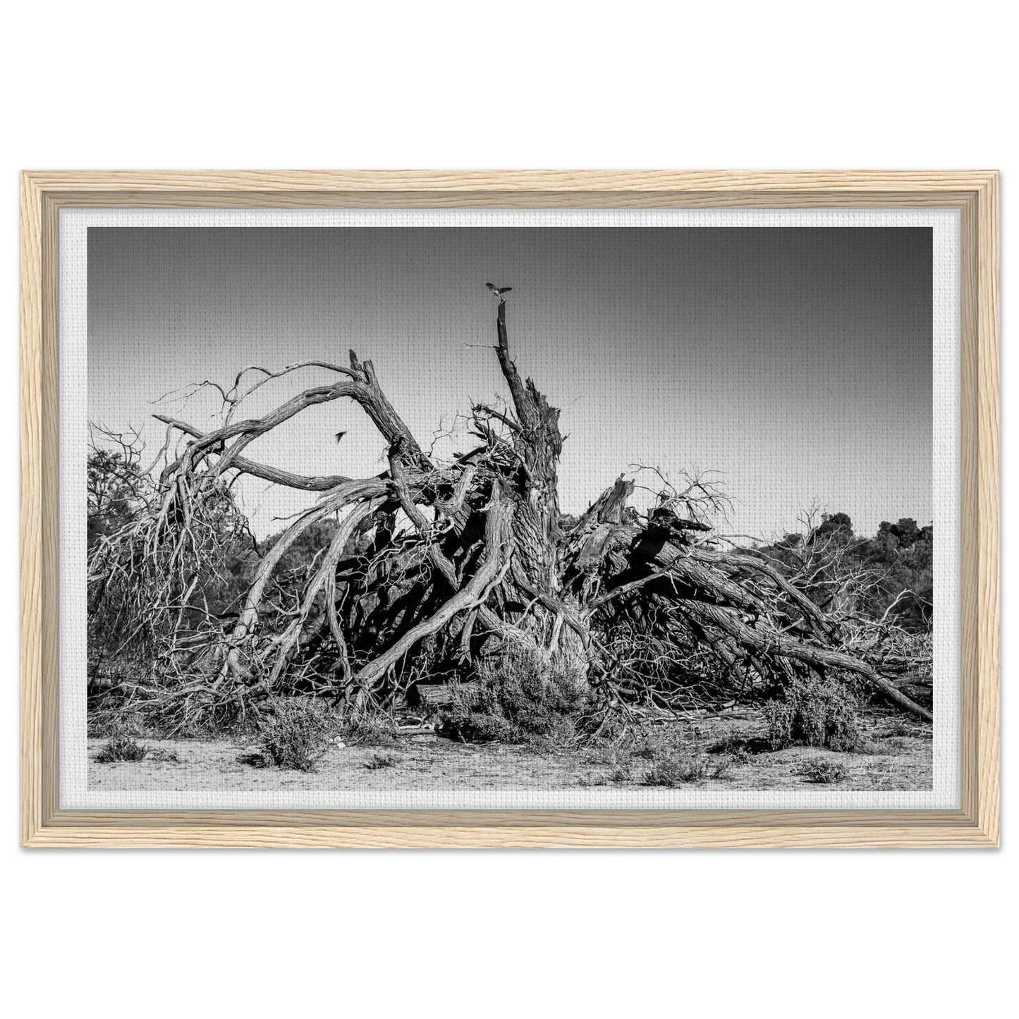 1f344a43-dcb7-49eb-b6dd-bb5568c99ed5