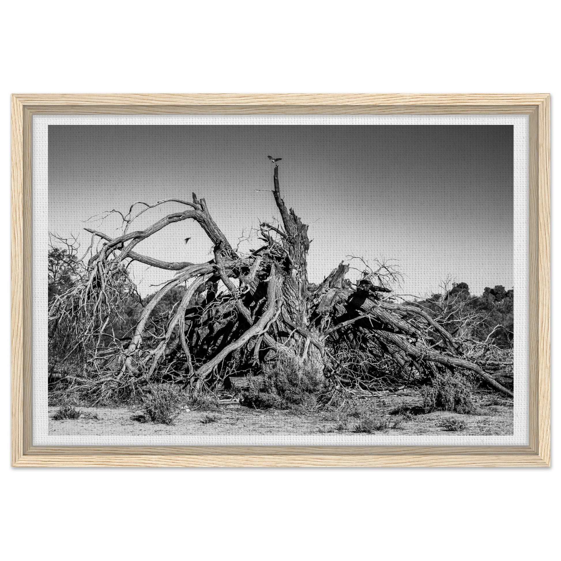 1f344a43-dcb7-49eb-b6dd-bb5568c99ed5