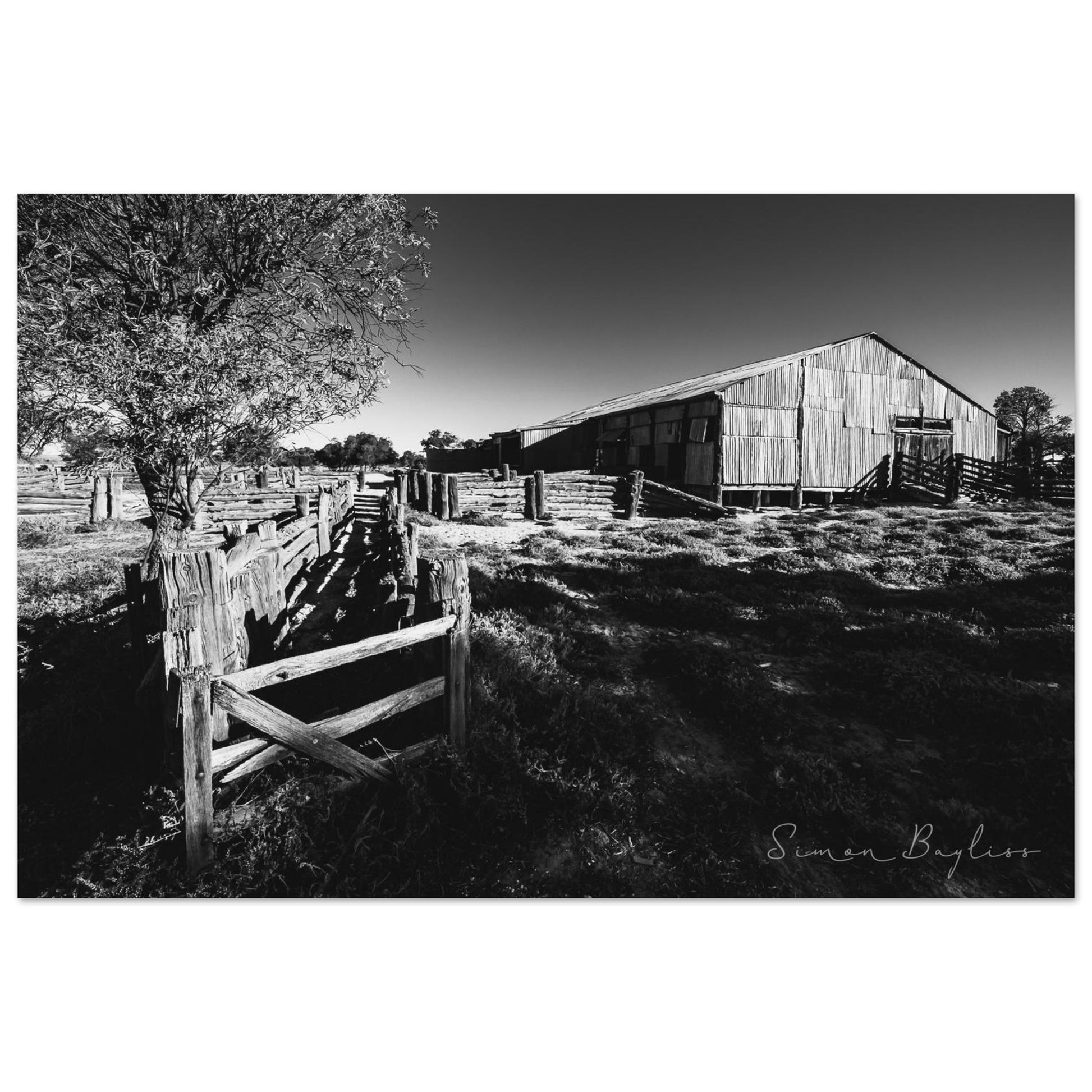 202b29a2-8c27-421f-b7df-bbe26e7ee58b