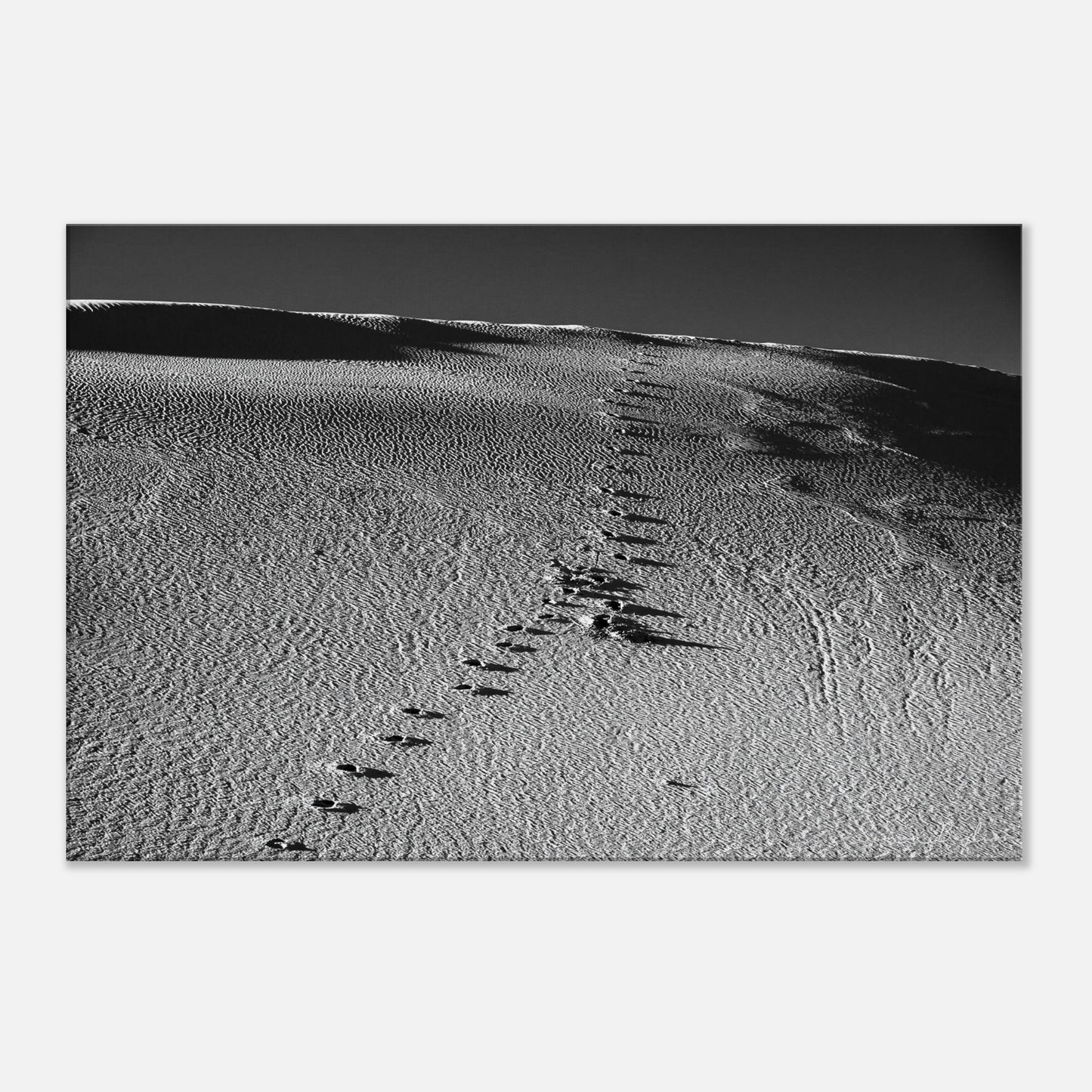 206cf219-2ac1-4c91-bffd-5afa4f6260ef