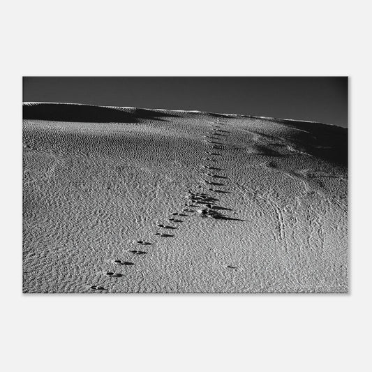 206cf219-2ac1-4c91-bffd-5afa4f6260ef