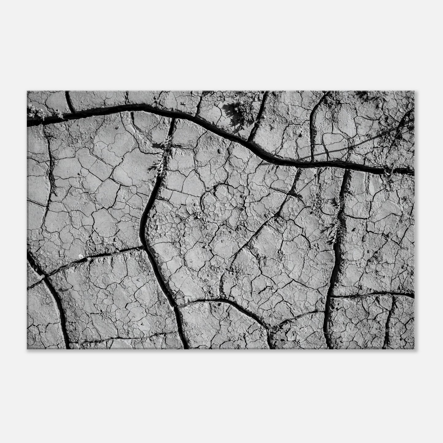 207d36c1-827f-4696-8517-4312aa3e539e