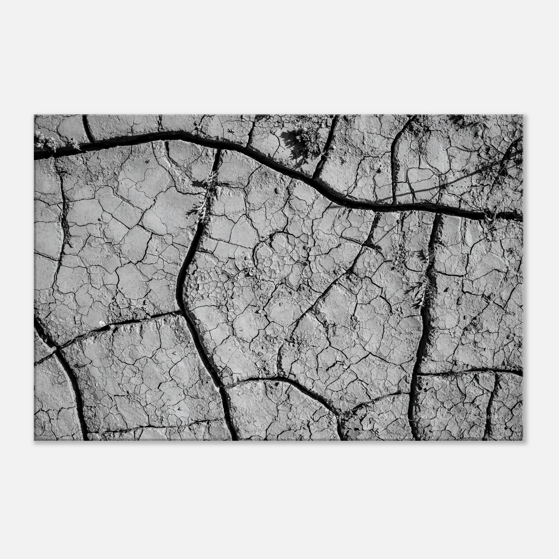 207d36c1-827f-4696-8517-4312aa3e539e