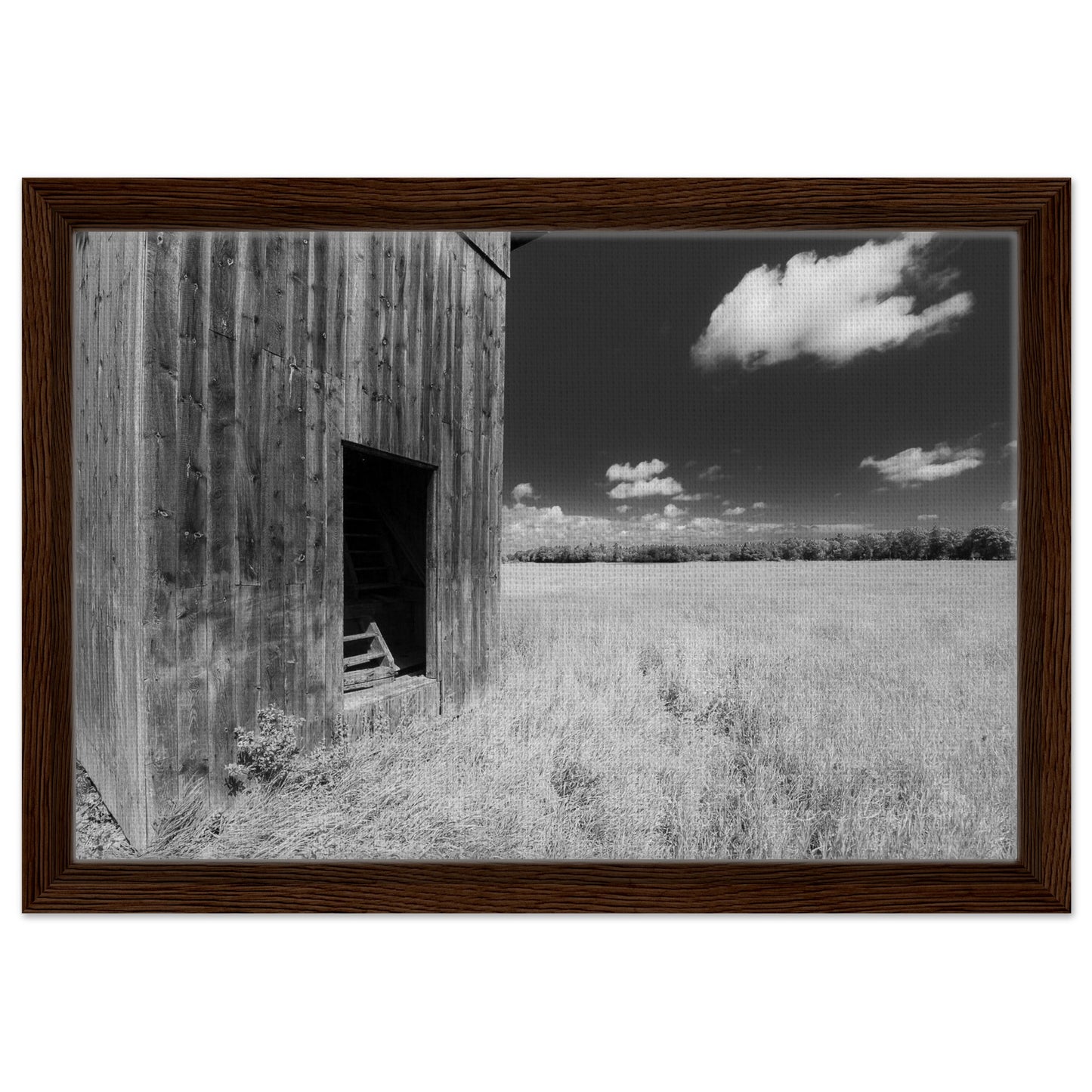 2091d048-aebf-4a89-8049-dfb482f28f56