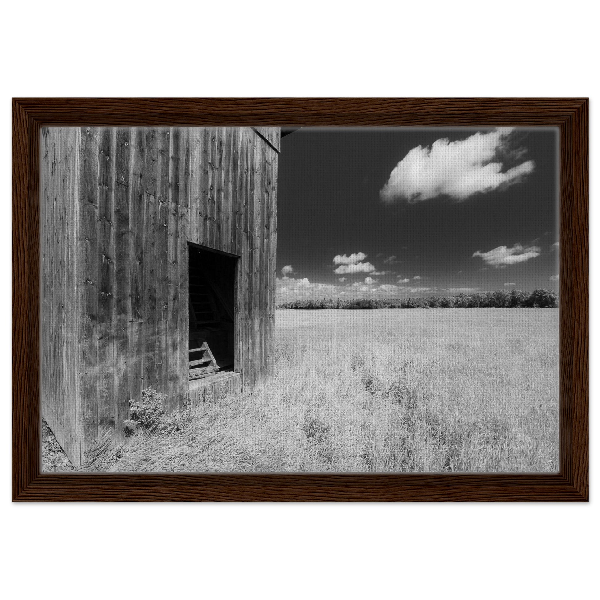 2091d048-aebf-4a89-8049-dfb482f28f56