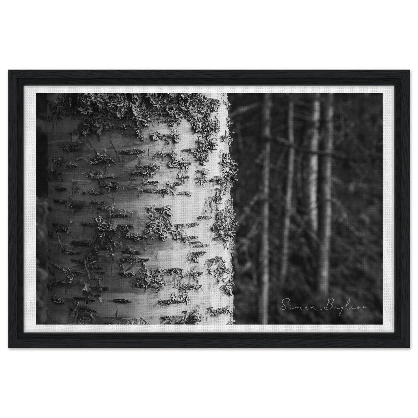 20984487-744b-4e5e-b389-9a9b2b1ad3d9