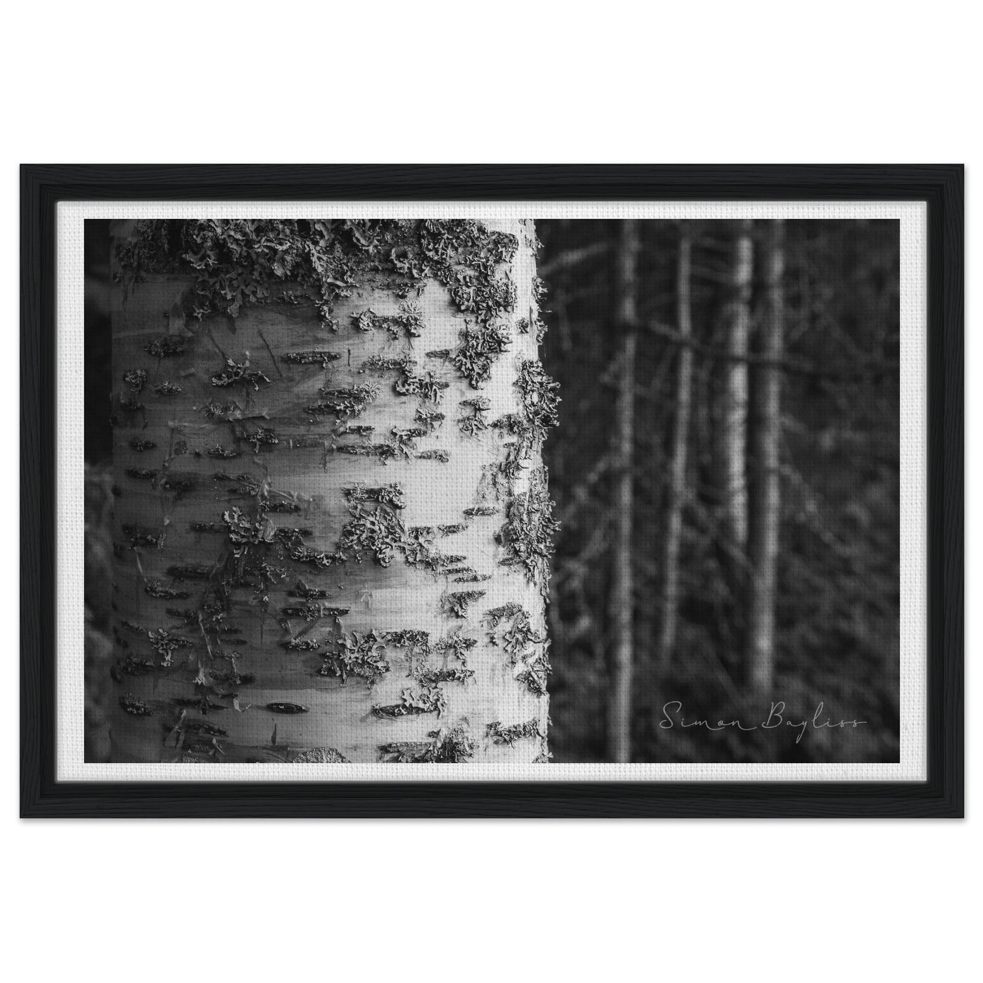 20984487-744b-4e5e-b389-9a9b2b1ad3d9