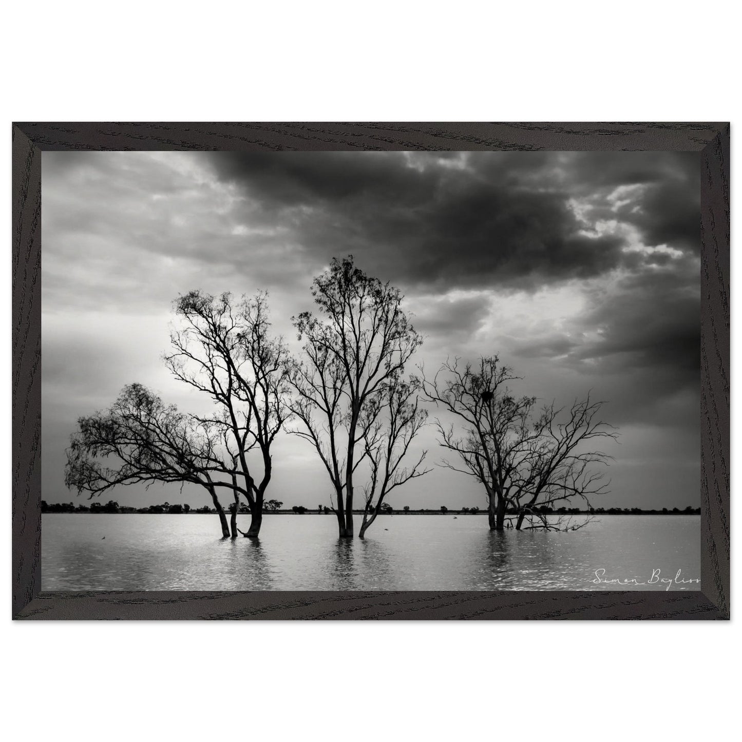 2099f685-5fc7-4ea7-86f9-57b7b8ffb620