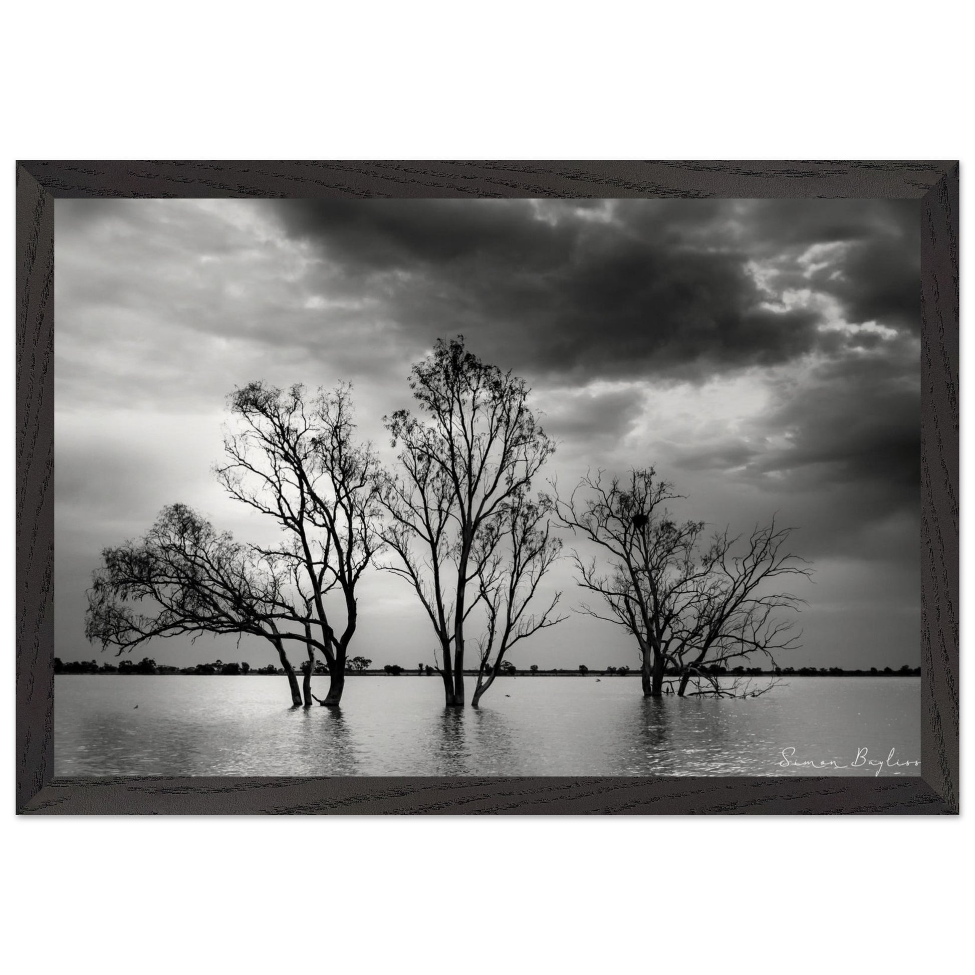 2099f685-5fc7-4ea7-86f9-57b7b8ffb620