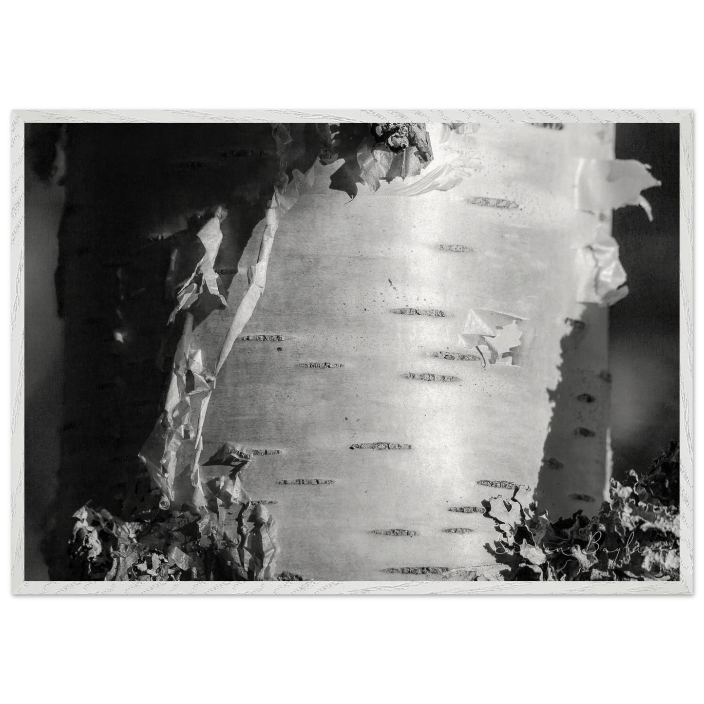 2152d8fb-45e7-4e19-bd45-5c49aeaac615