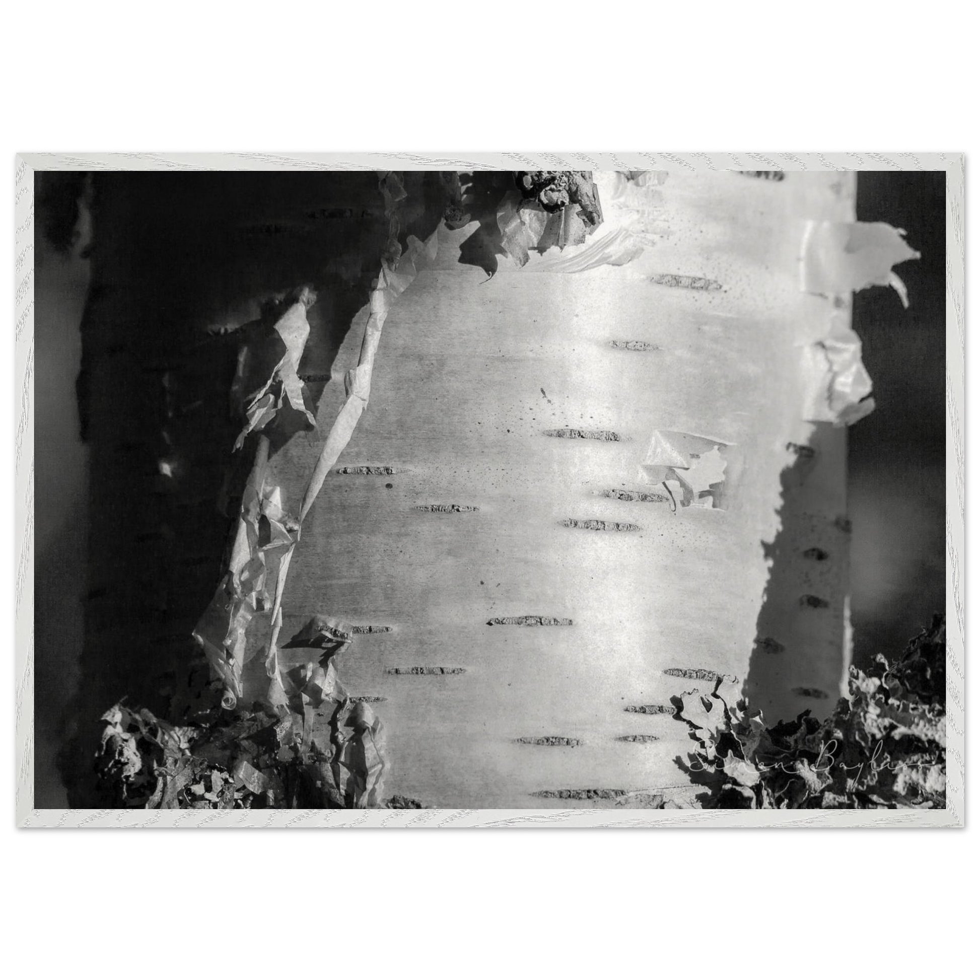 2152d8fb-45e7-4e19-bd45-5c49aeaac615