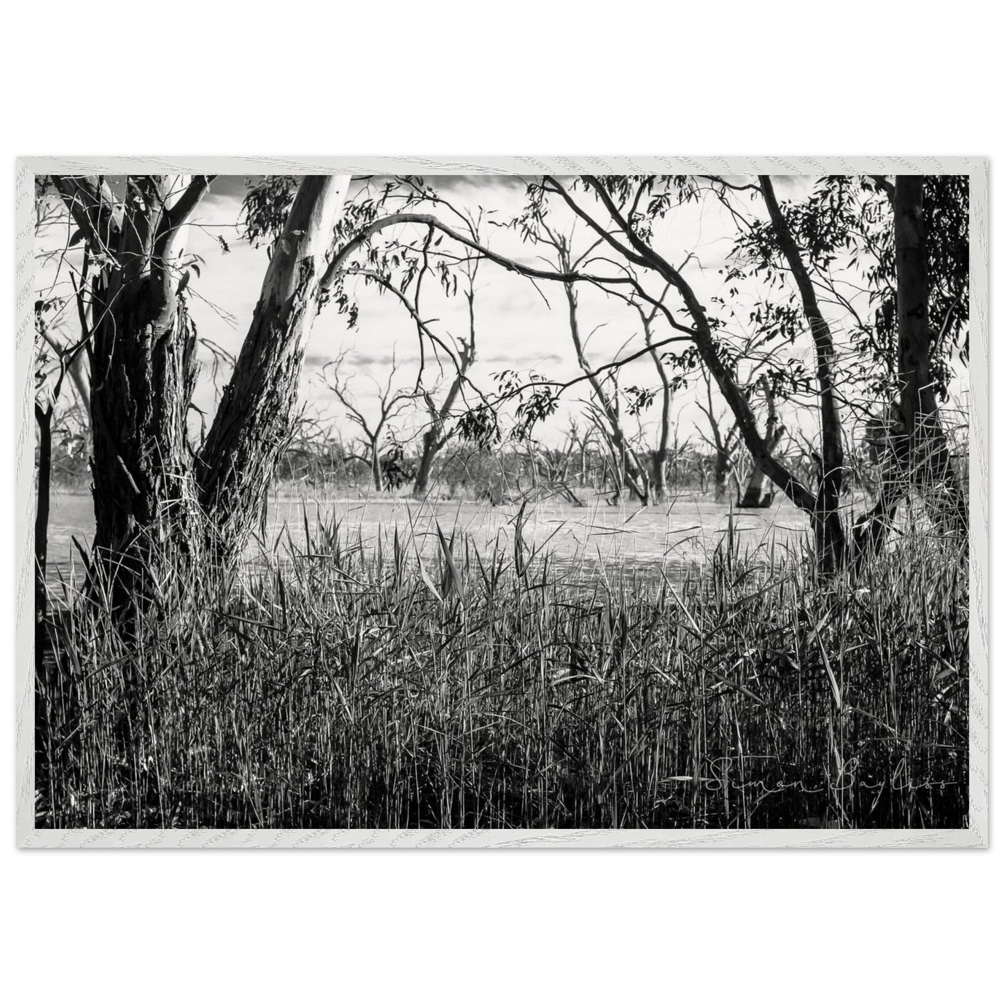 22420944-c2b5-4e86-8368-ff150efb351e