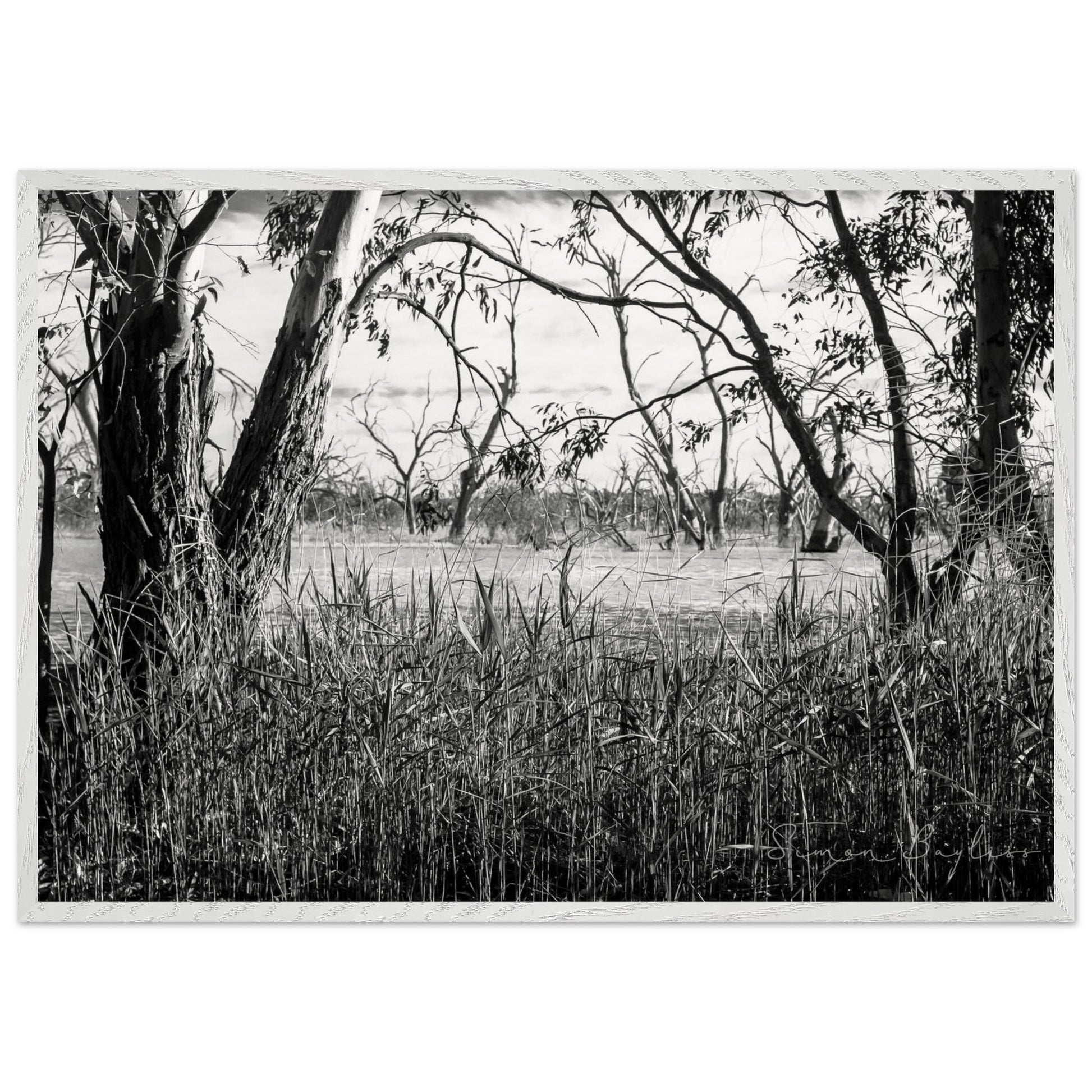 22420944-c2b5-4e86-8368-ff150efb351e