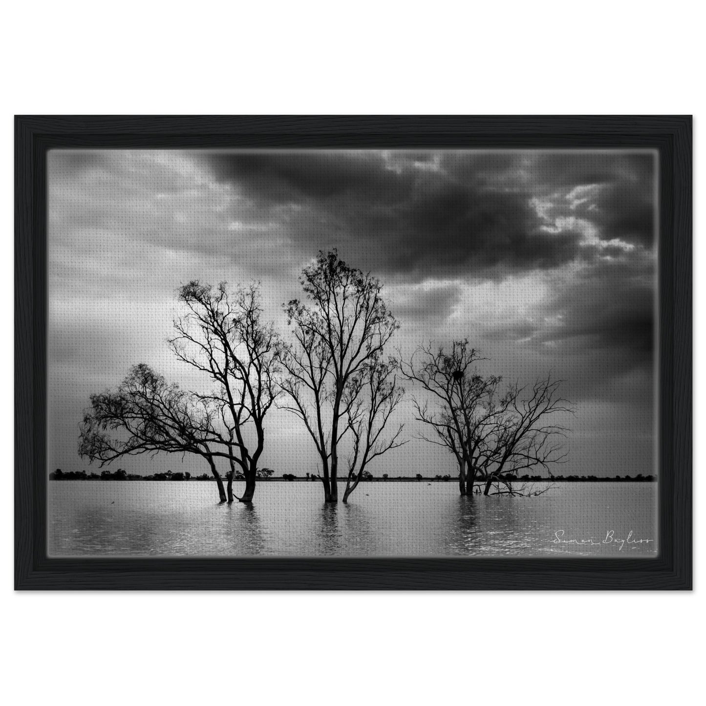 22ddd489-840f-4a98-988e-c4f3341ef52b