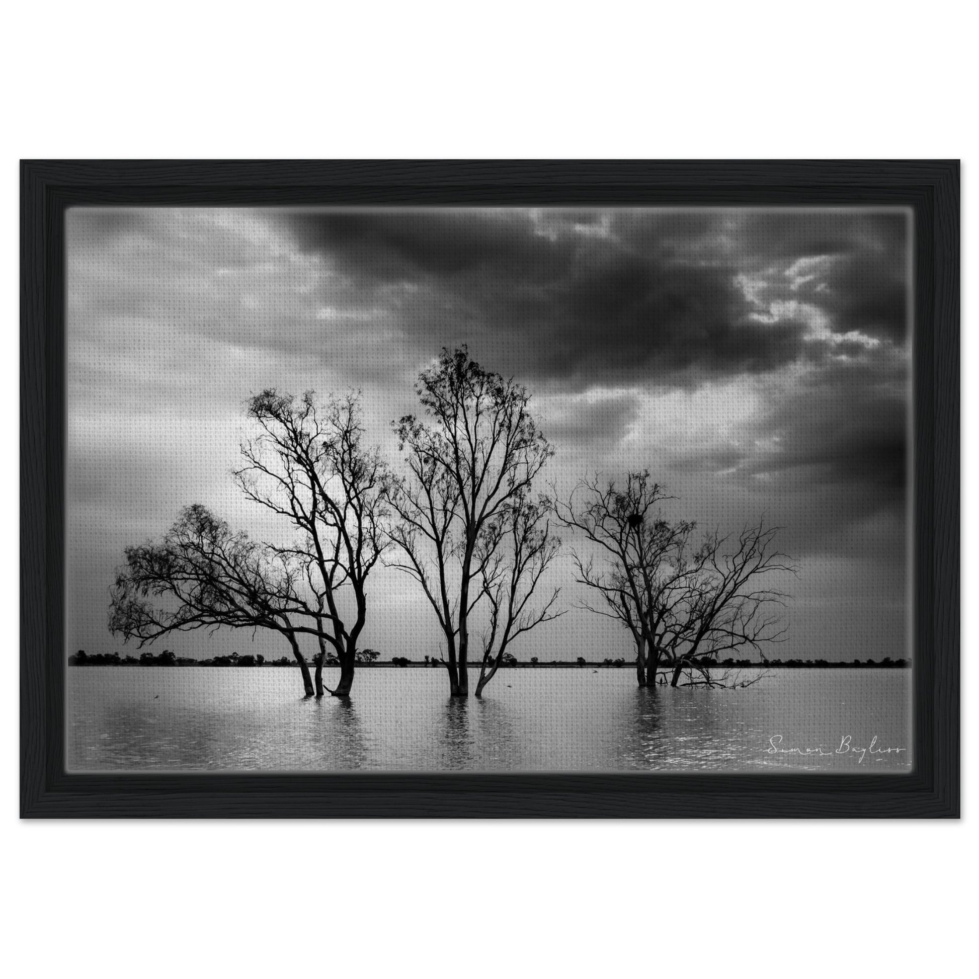 22ddd489-840f-4a98-988e-c4f3341ef52b