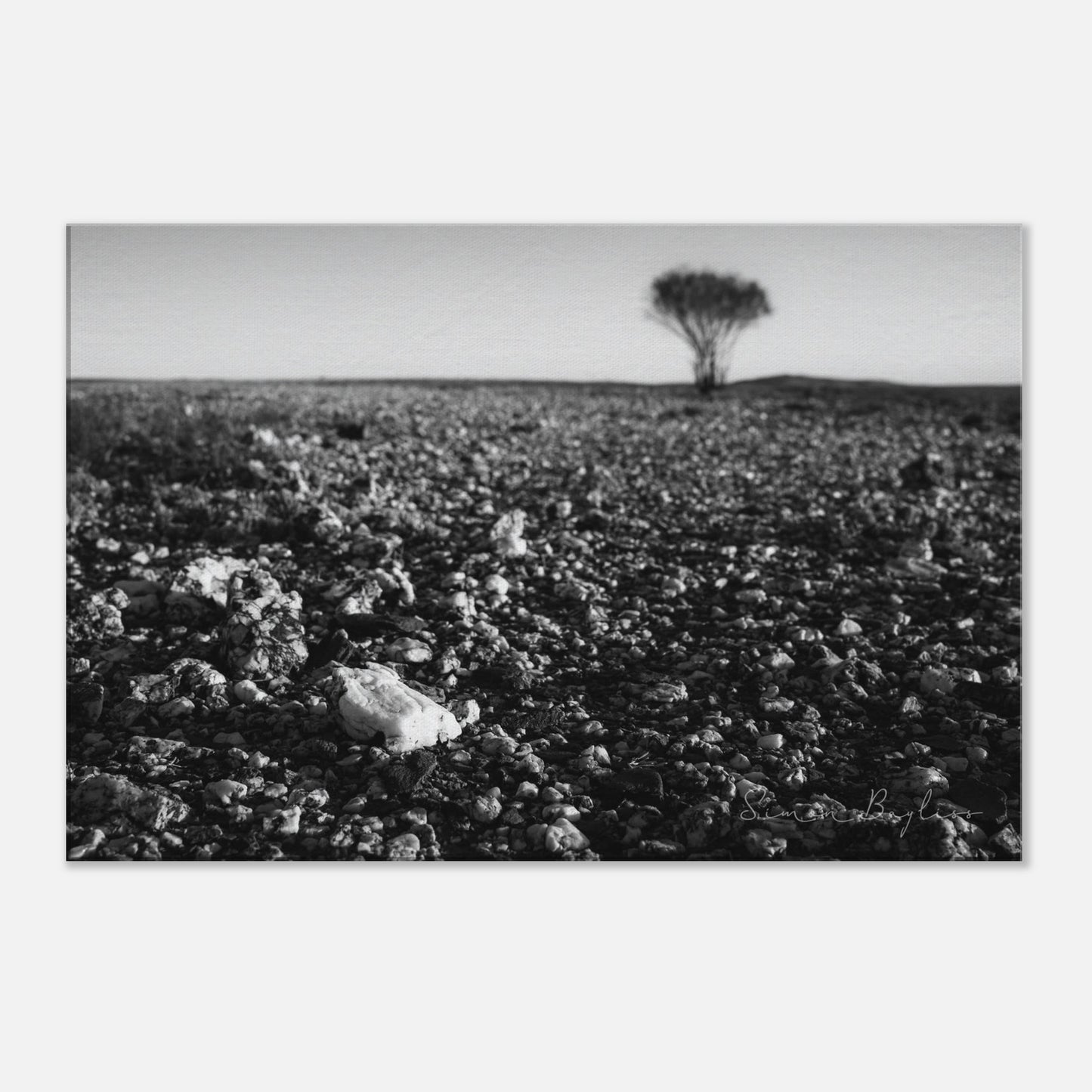 2322bcdd-eb3a-4e94-add4-0a95492786fd