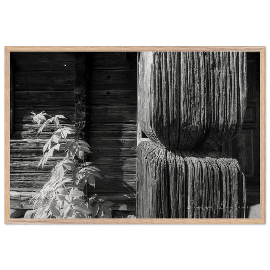 237f0200-6ffc-4942-afd2-5e99c38162ae