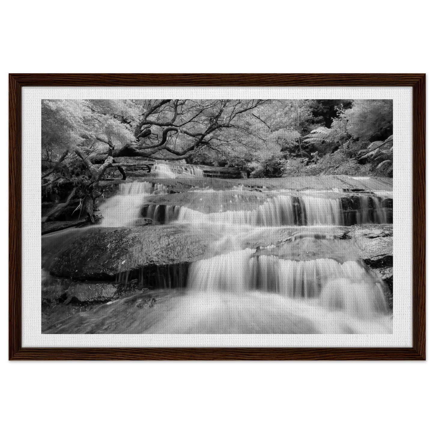 239ad315-44e8-4075-9c8e-a0466b419218