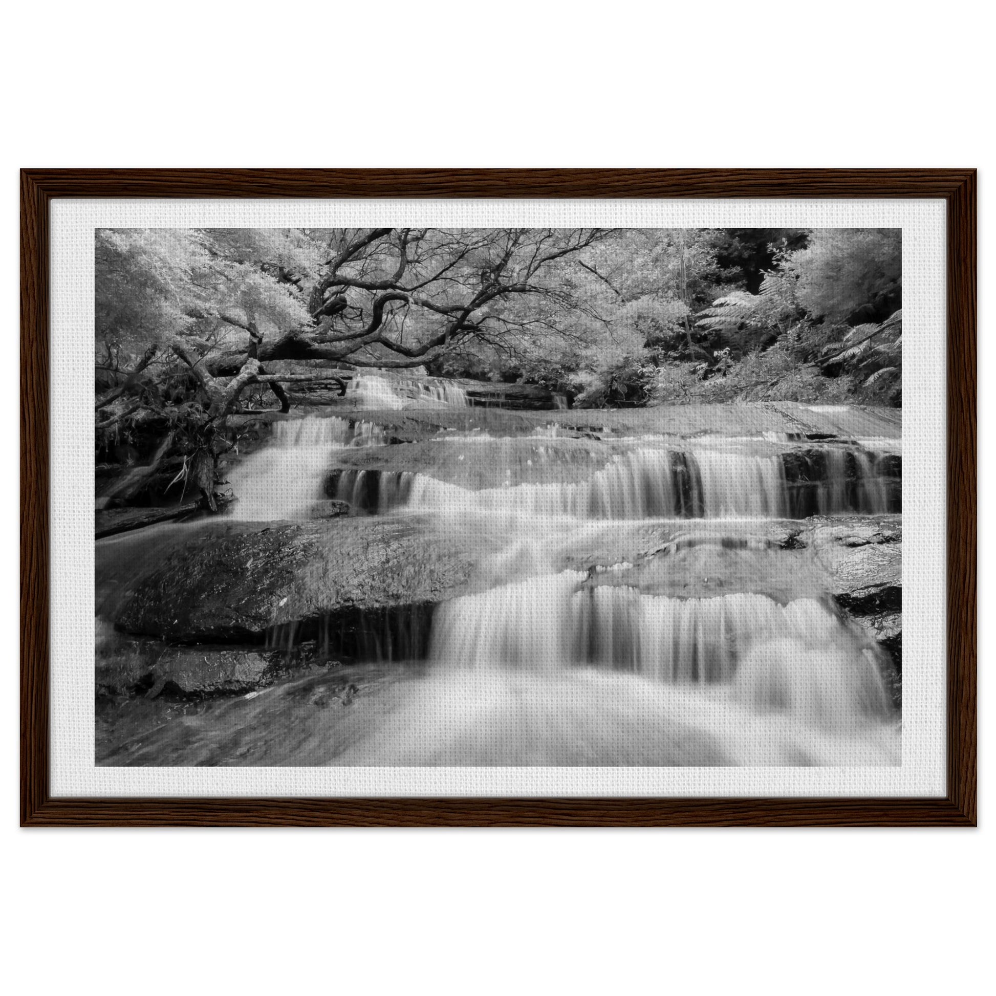 239ad315-44e8-4075-9c8e-a0466b419218