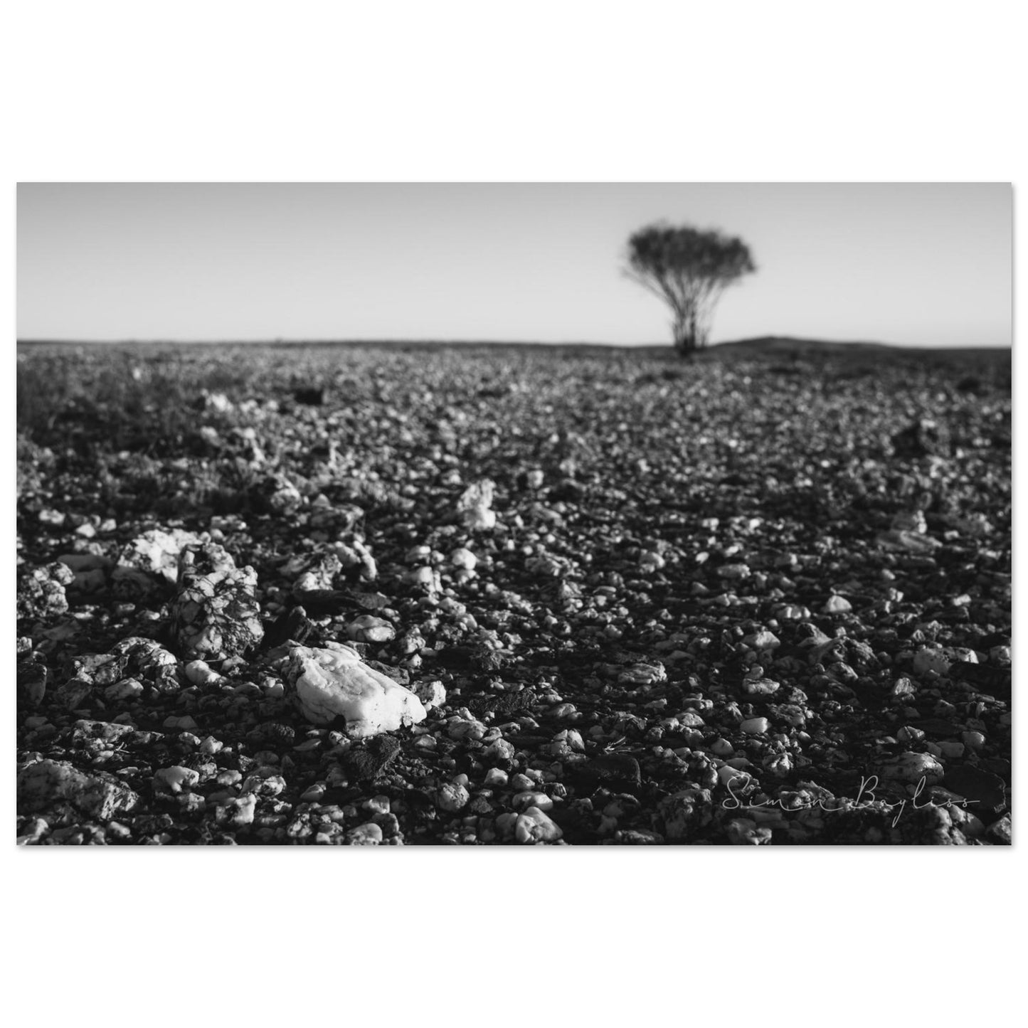 23c4c96e-48b4-498e-a1a8-5c10e8666c21