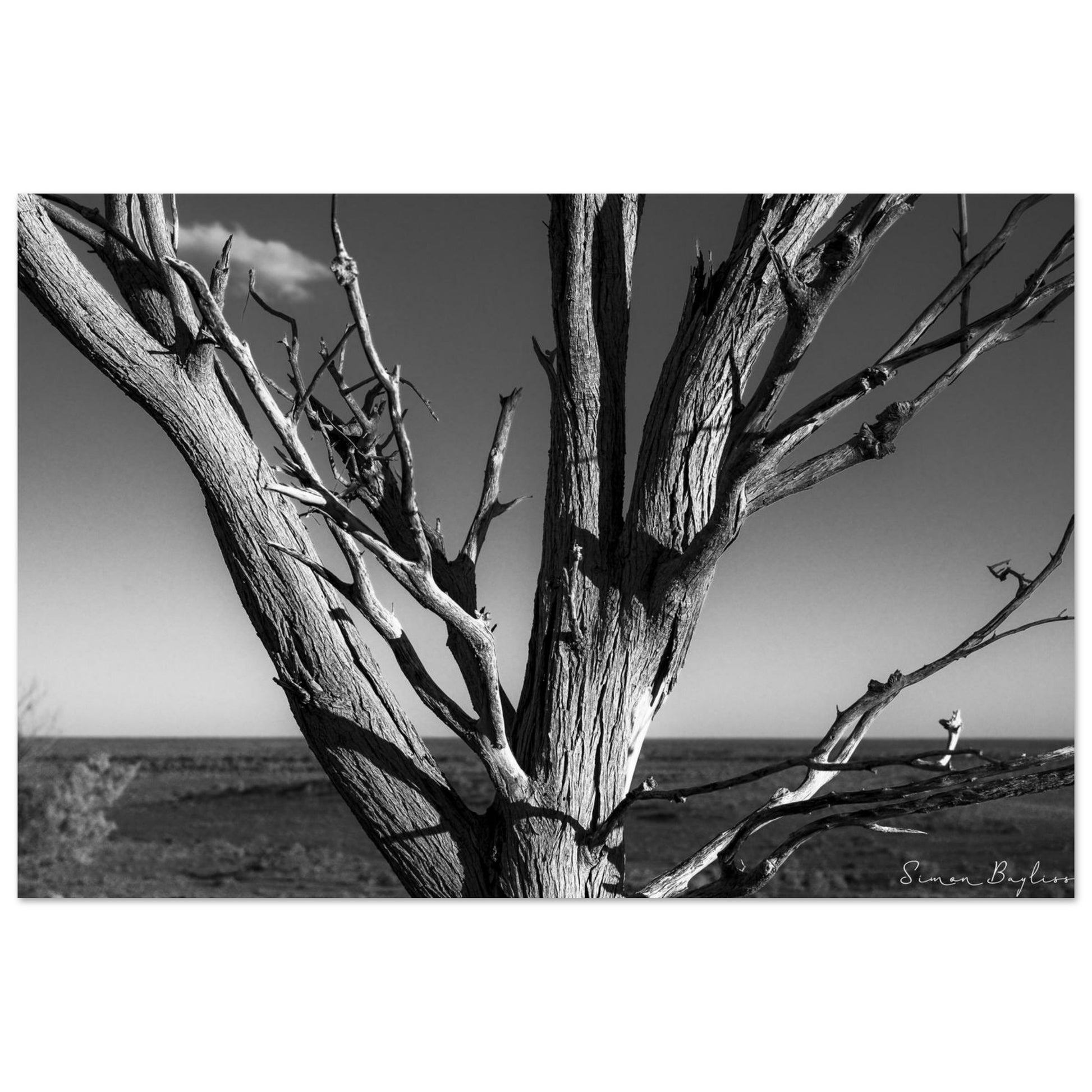 23fd7cde-967a-4310-8e10-a9e2a0abe992