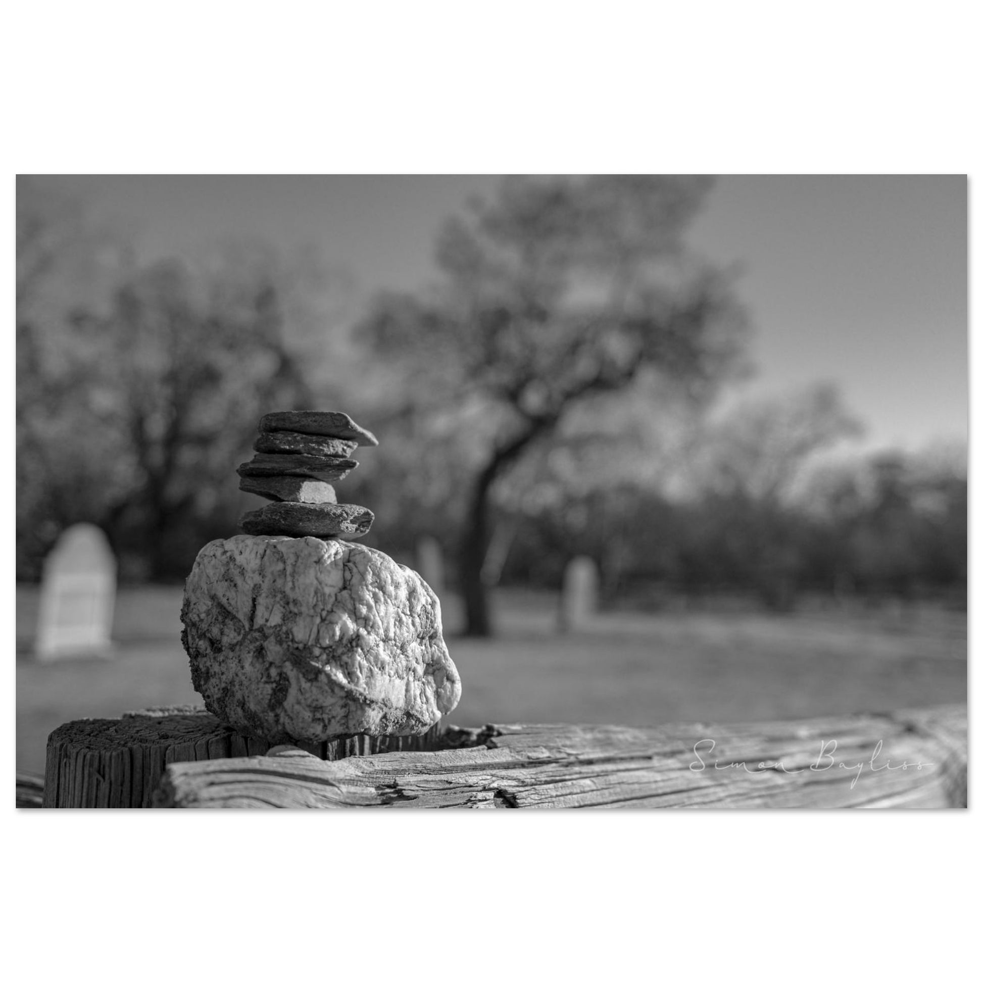 2488a2f9-c94a-4474-91a4-8a5dfdc8d283