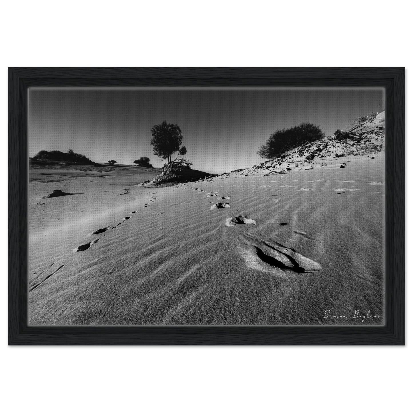 24a7afe8-c34b-4bf2-b021-35e149afea5a