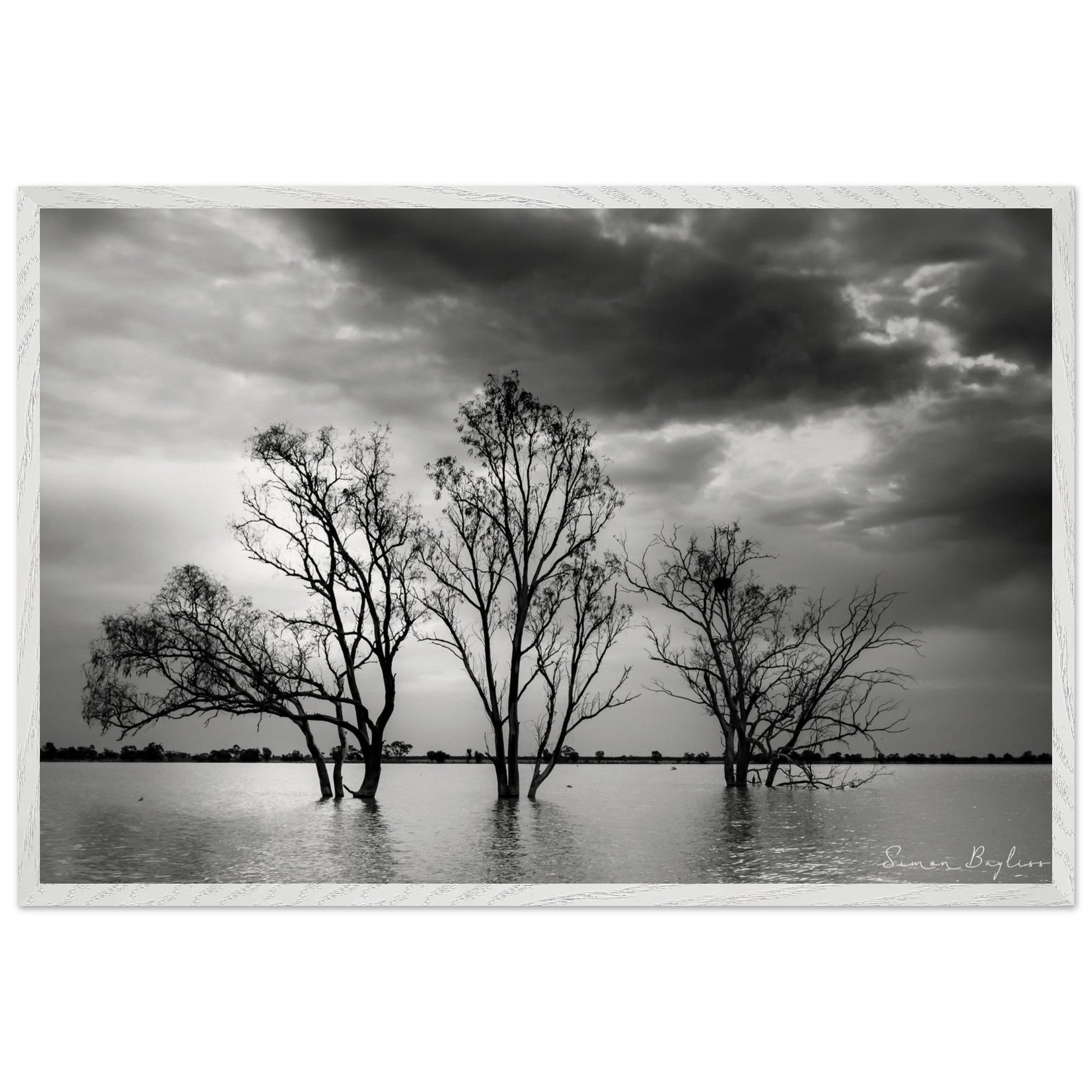 24e68232-376d-41f9-94a1-cce85f907f19