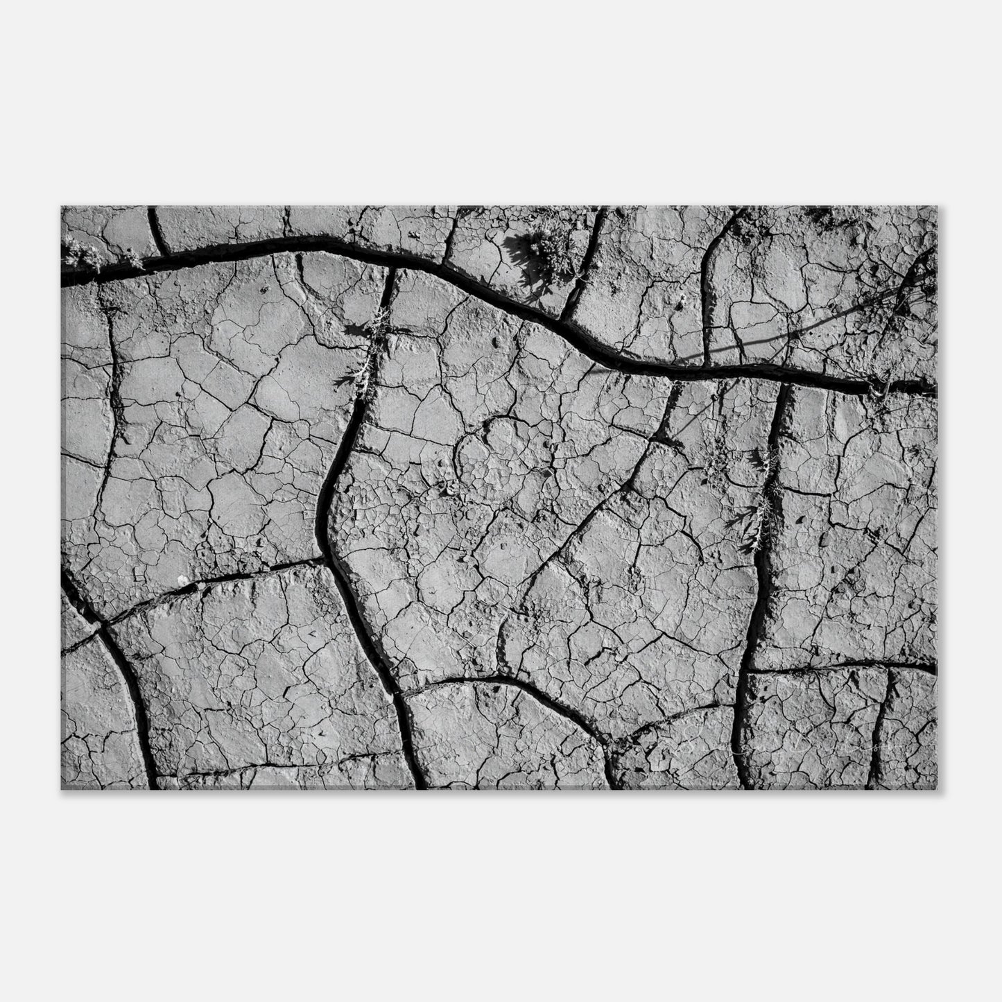 25ca8620-379e-45bf-8626-d382bf00da0b