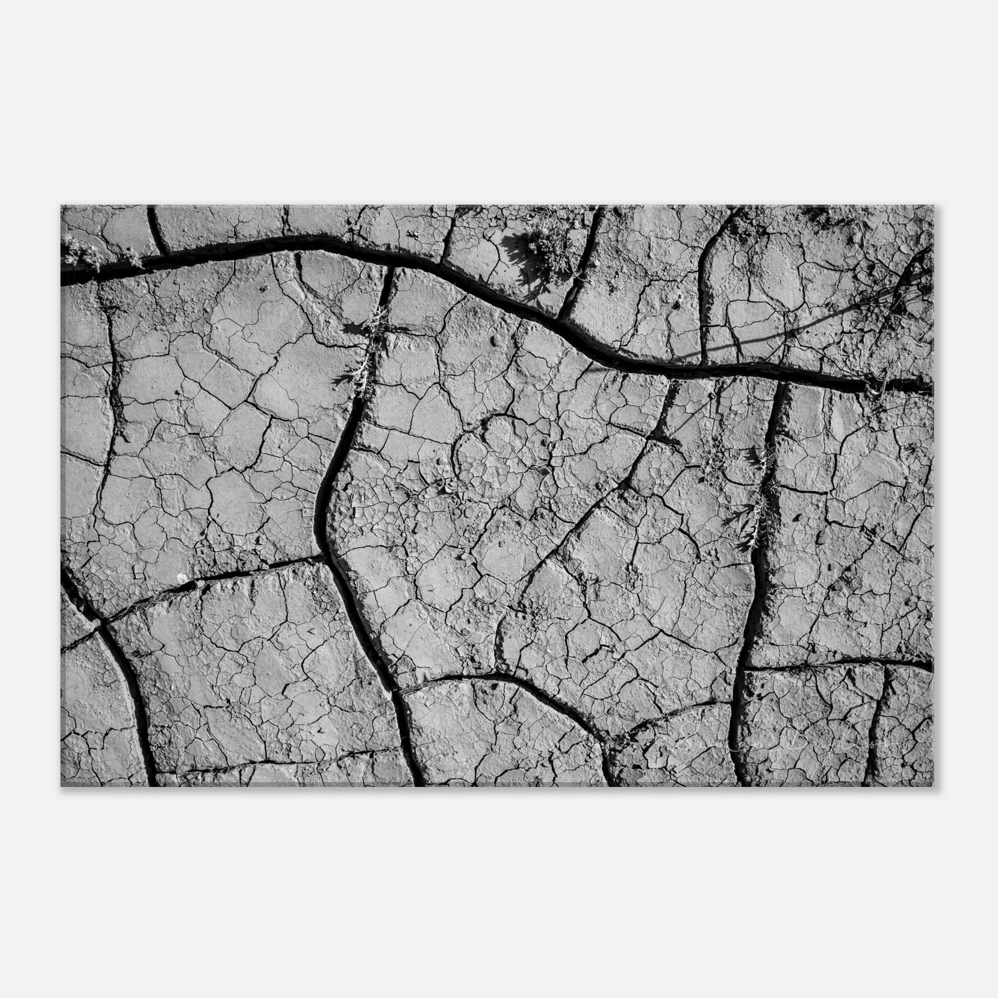 25ca8620-379e-45bf-8626-d382bf00da0b