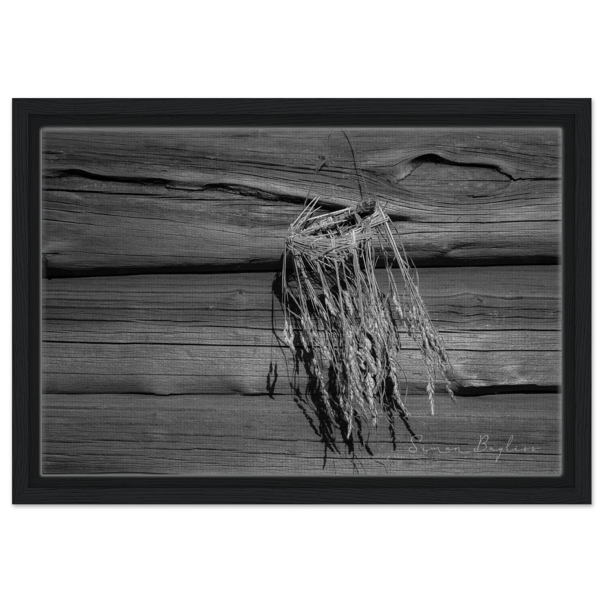 25fa8840-9aa7-4345-9f1e-905e0aa7db4d