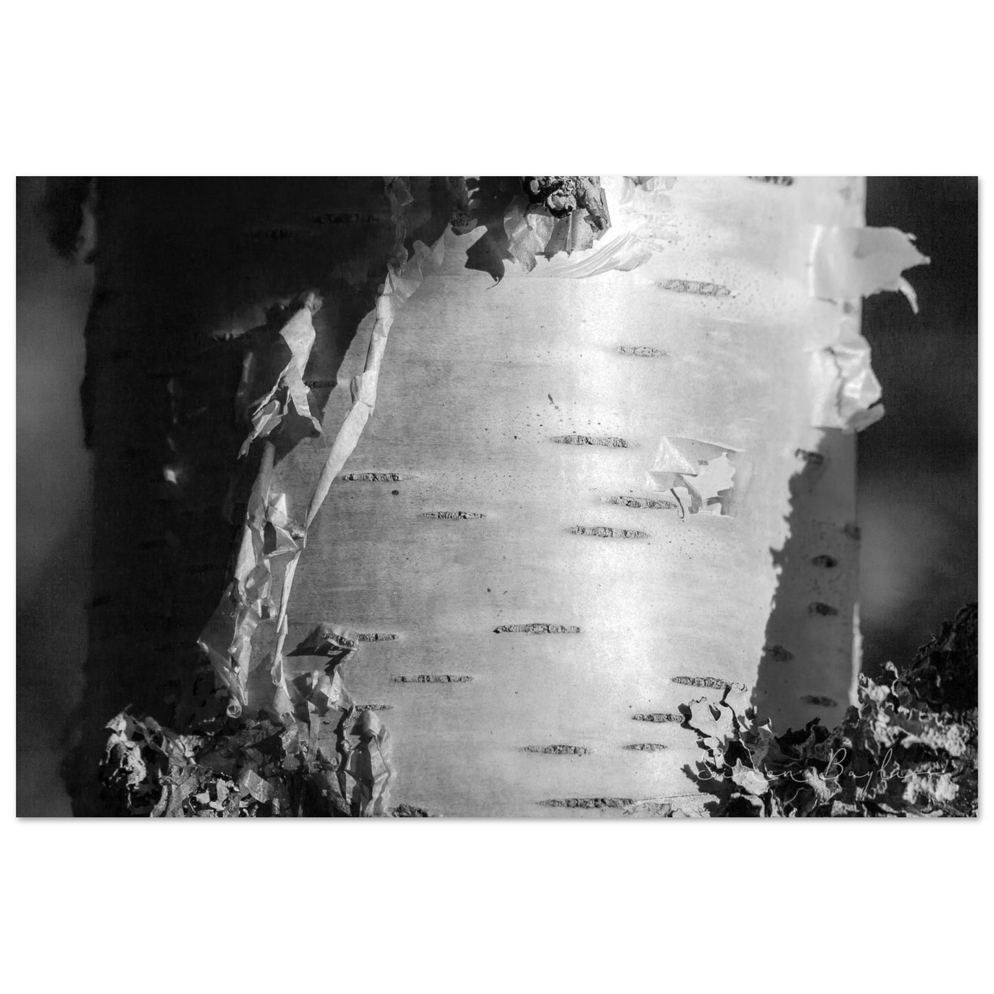 27294ce9-f8b4-42f9-abc3-274f09017126