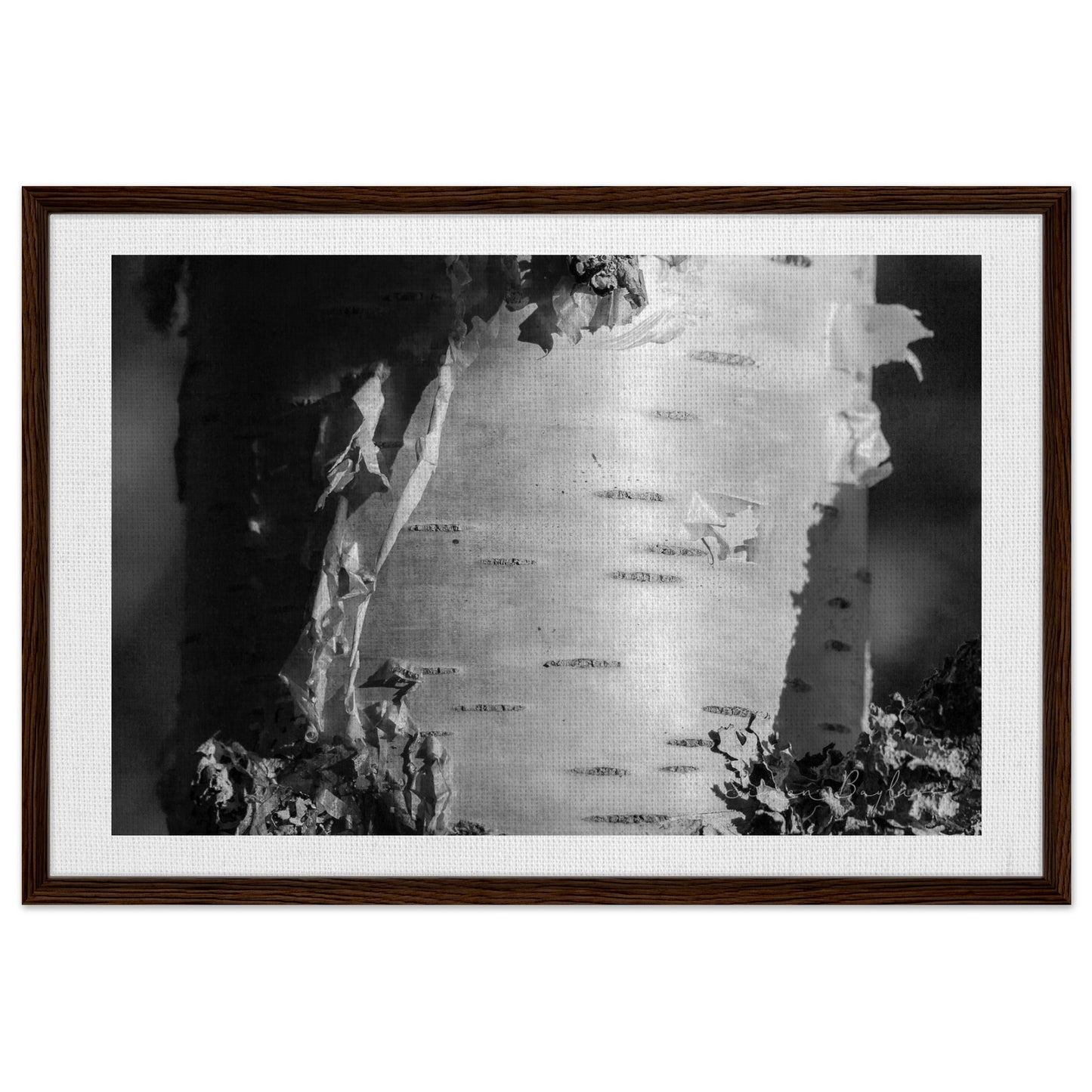 28002fa3-0317-4531-98a4-3ed9d88e262b