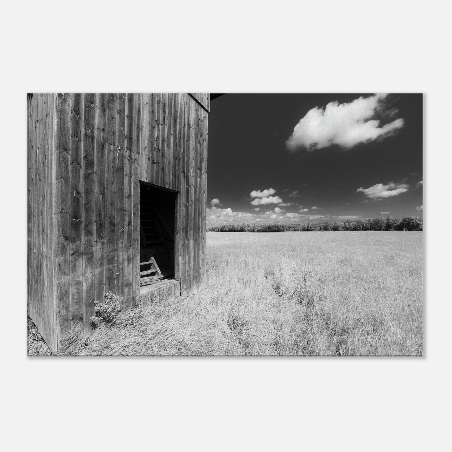 289108e9-2df3-42e7-b2d8-8a483b756761