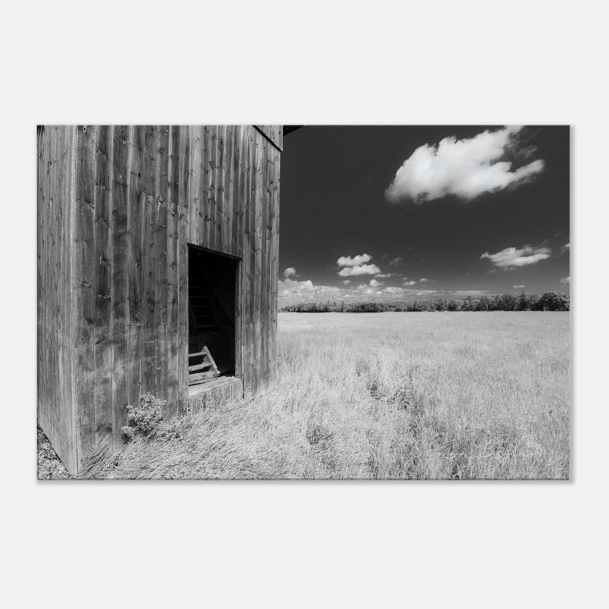 289108e9-2df3-42e7-b2d8-8a483b756761