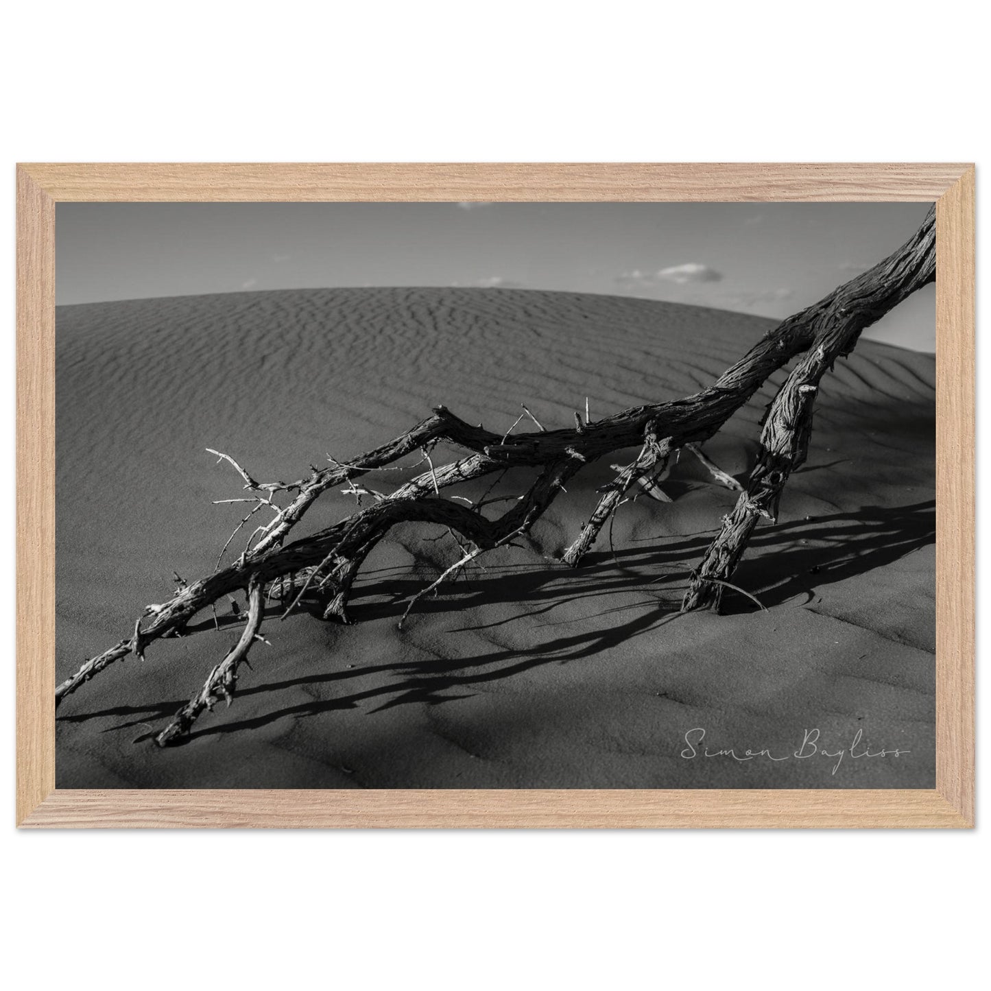 2892baa0-0411-490d-946e-04880ee1d61e