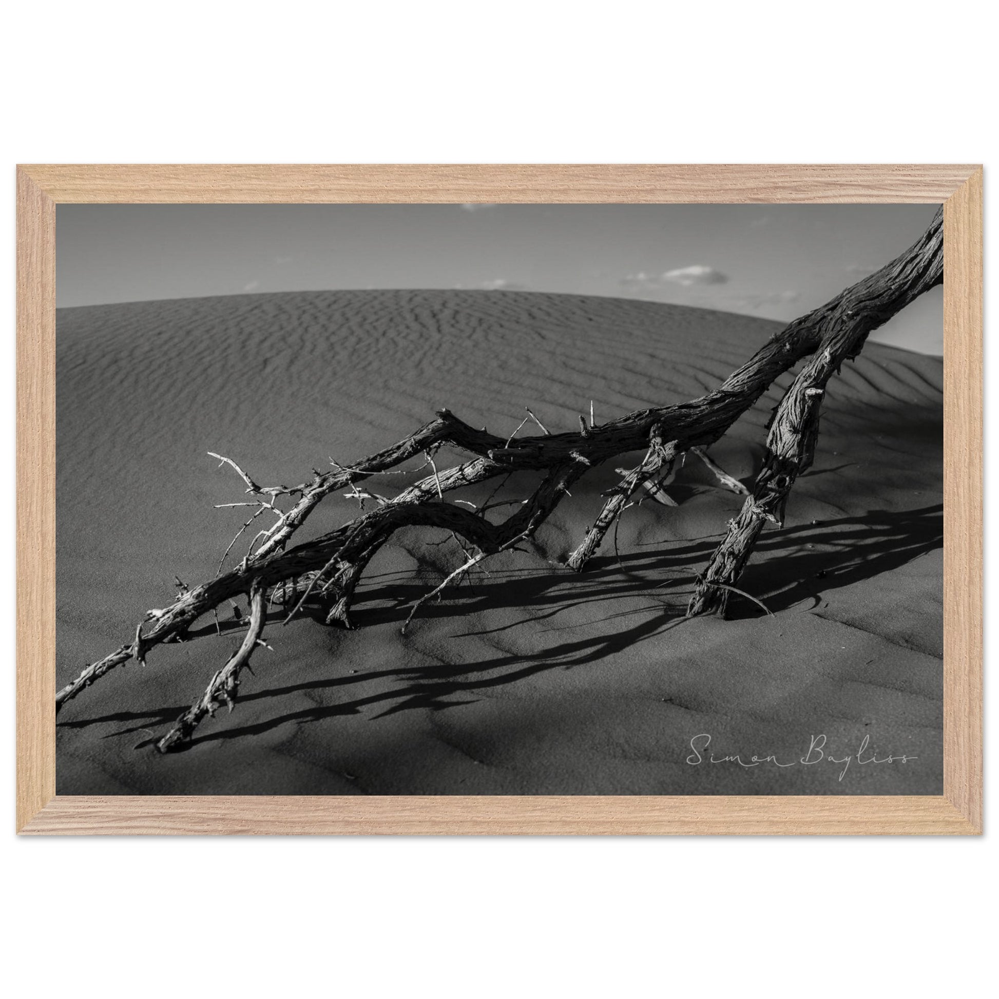 2892baa0-0411-490d-946e-04880ee1d61e