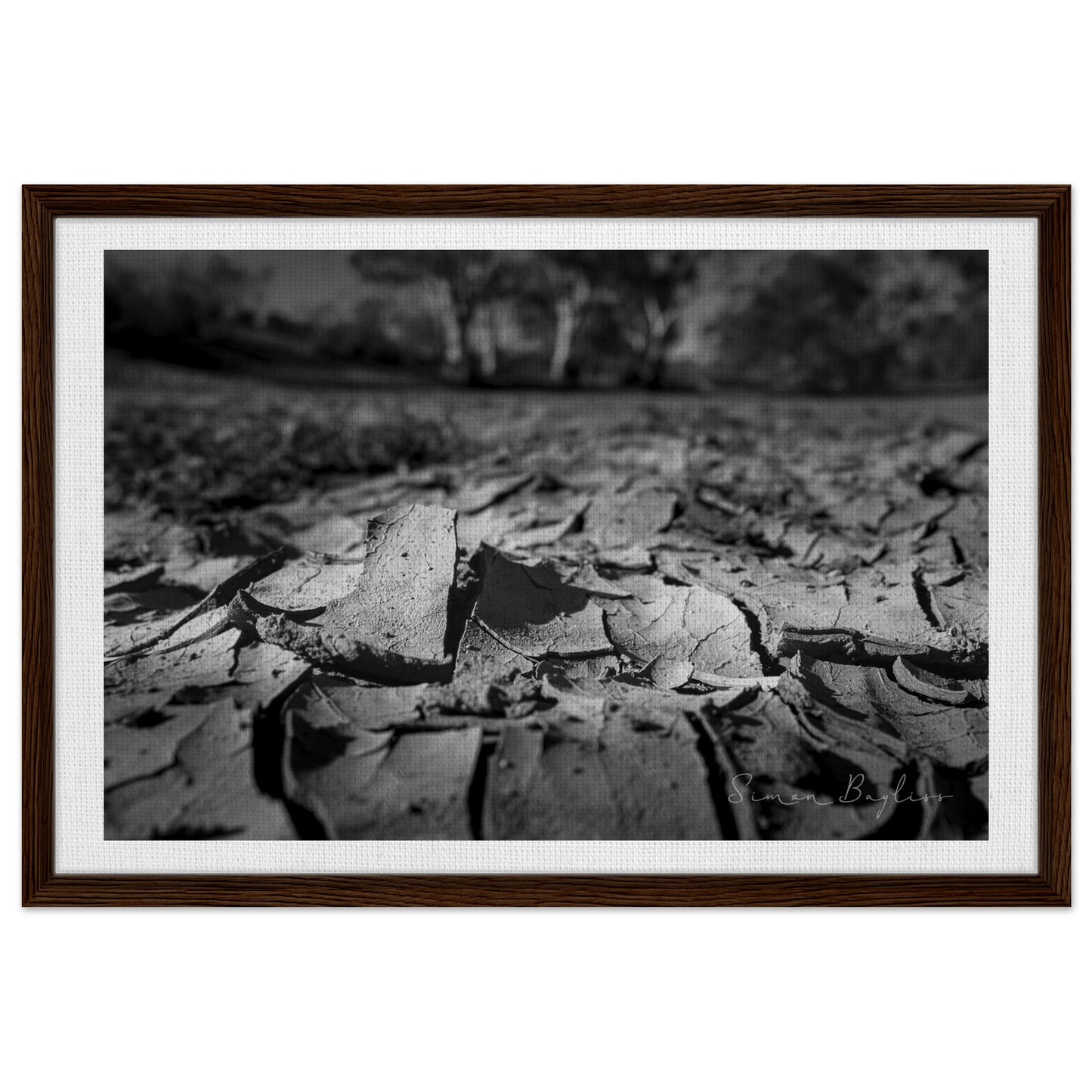 289b3662-d566-4ba2-a4bf-e5e05aa658dd