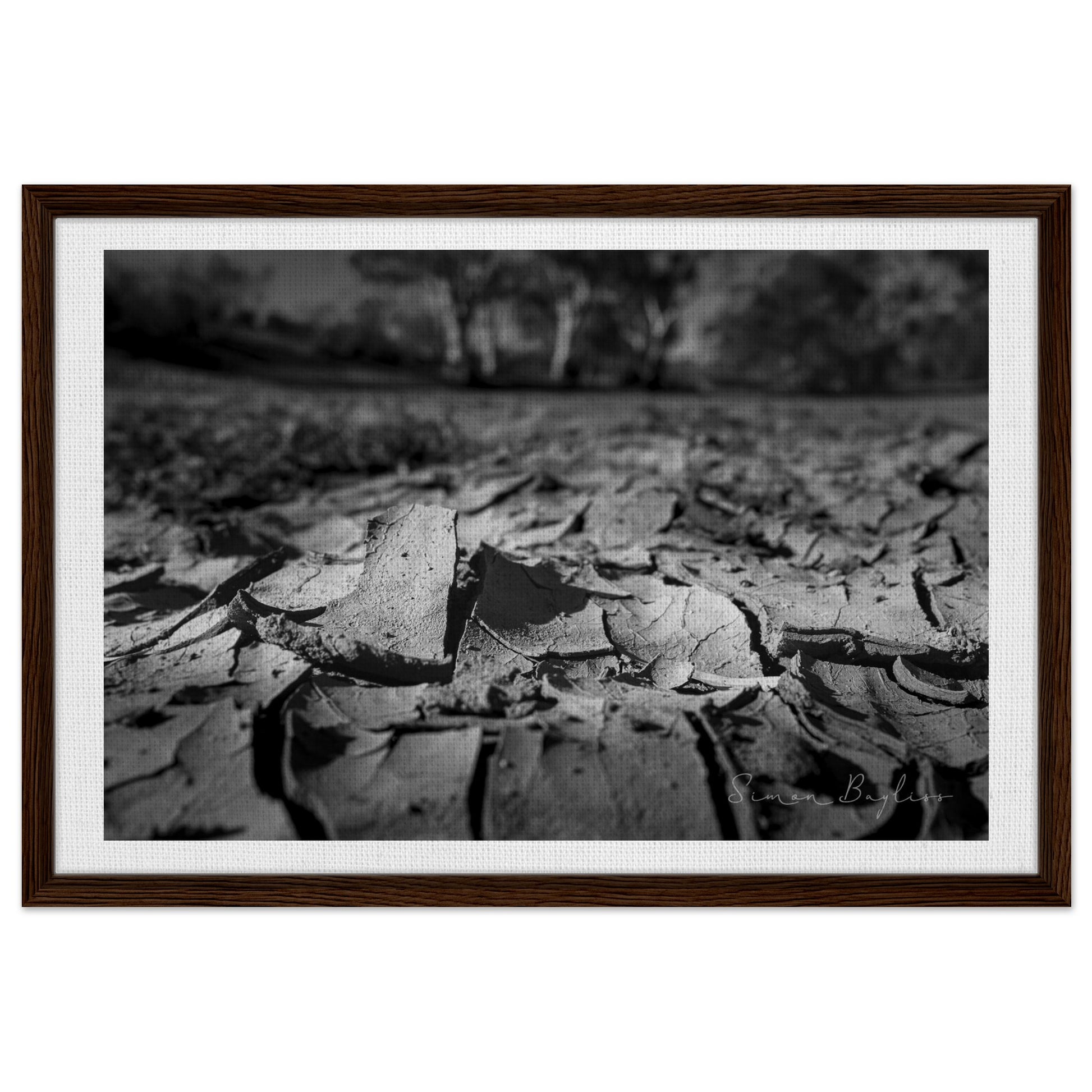 289b3662-d566-4ba2-a4bf-e5e05aa658dd